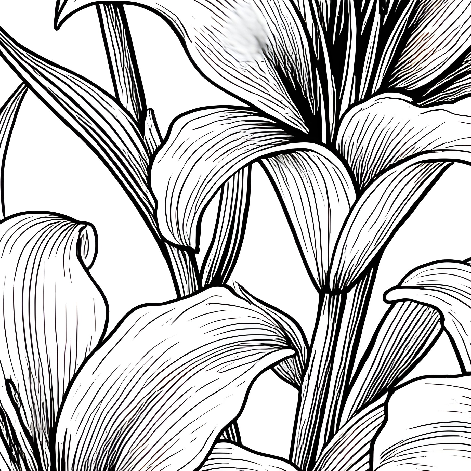 Floral Arrangement Of Lilies Lilies Flowers - Full Resolution Quality Preview