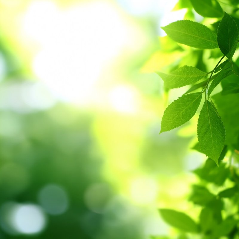 Green Leaves Against A Bright Background Nature Greenery