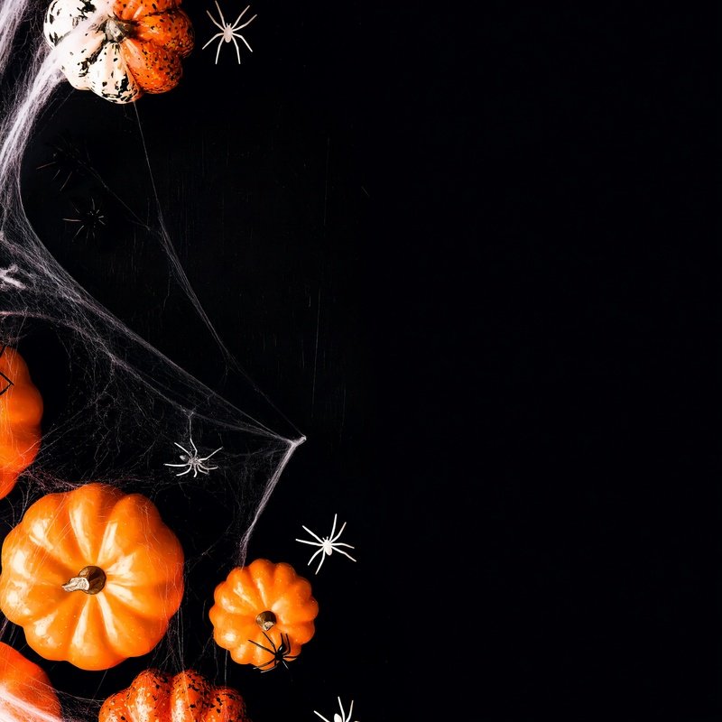 Halloween Themed Decorations Halloween Decorations