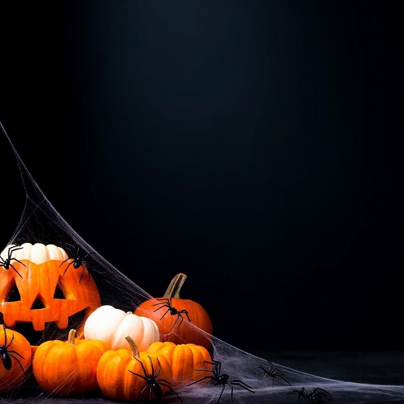 Halloween Themed Decorations Halloween Decorations