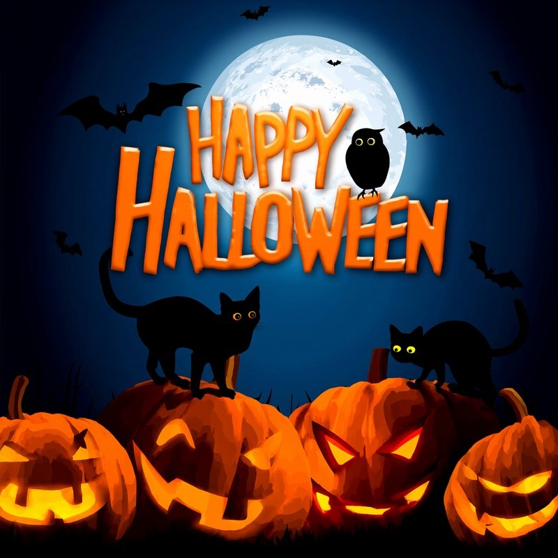 Halloween Themed Illustration Featuring Pumpkins And Bats
