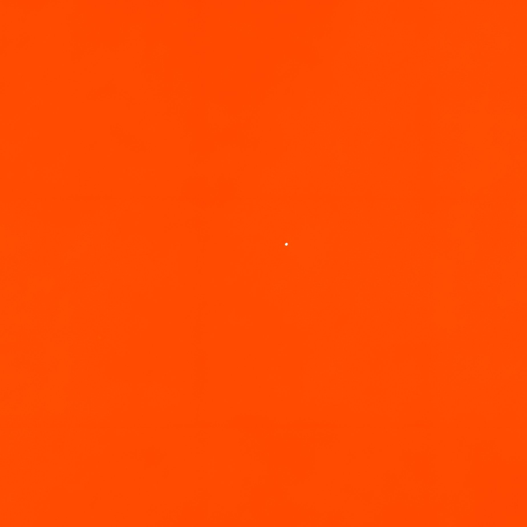 Halloween Themed Objects On An Orange Background Halloween - Full Resolution Quality Preview