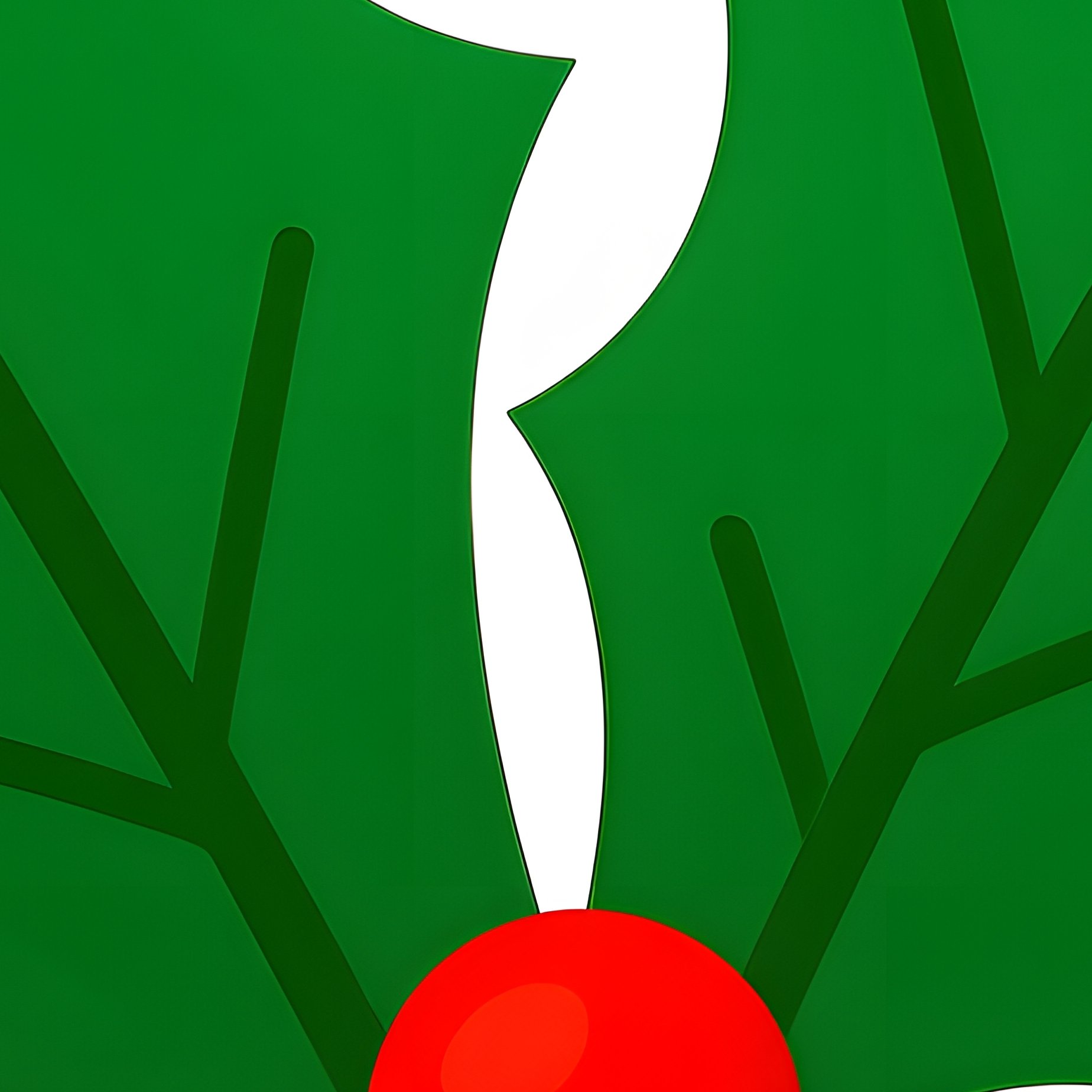 Holly Leaves And Berries Holly Berries - Full Resolution Quality Preview