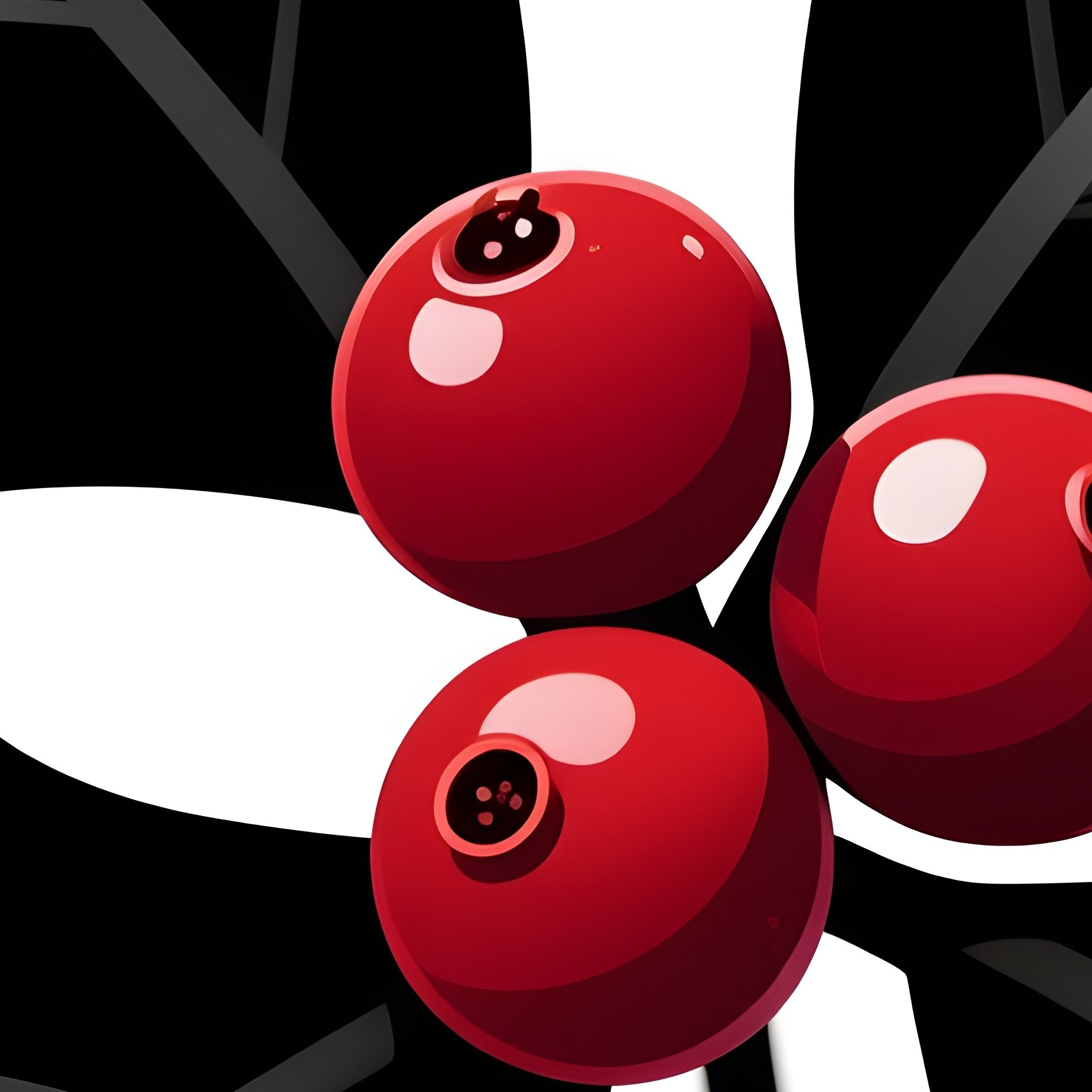 Holly Leaves And Berries Holly Berries - Full Resolution Quality Preview