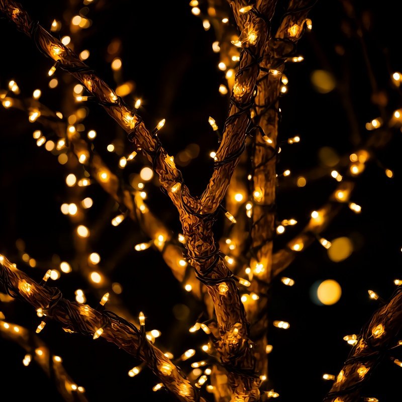 Illuminated Tree Branches At Night Night Photography Holiday