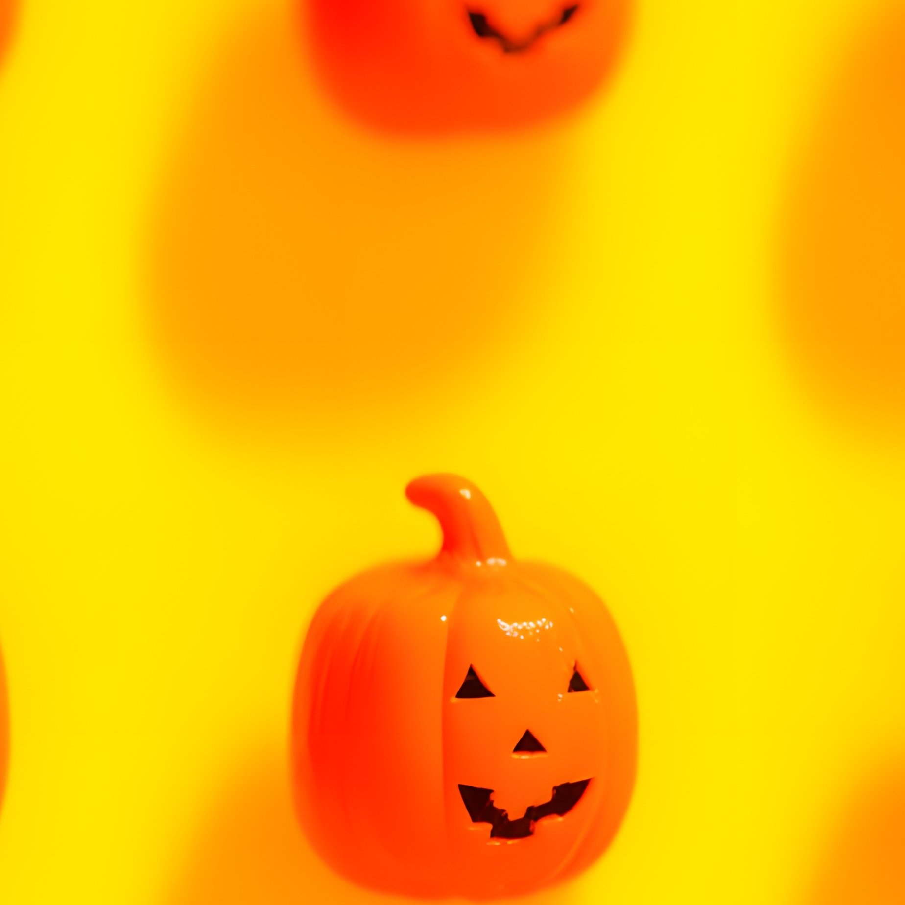 Jack O Lantern Pumpkins Halloween Pumpkin - Full Resolution Quality Preview