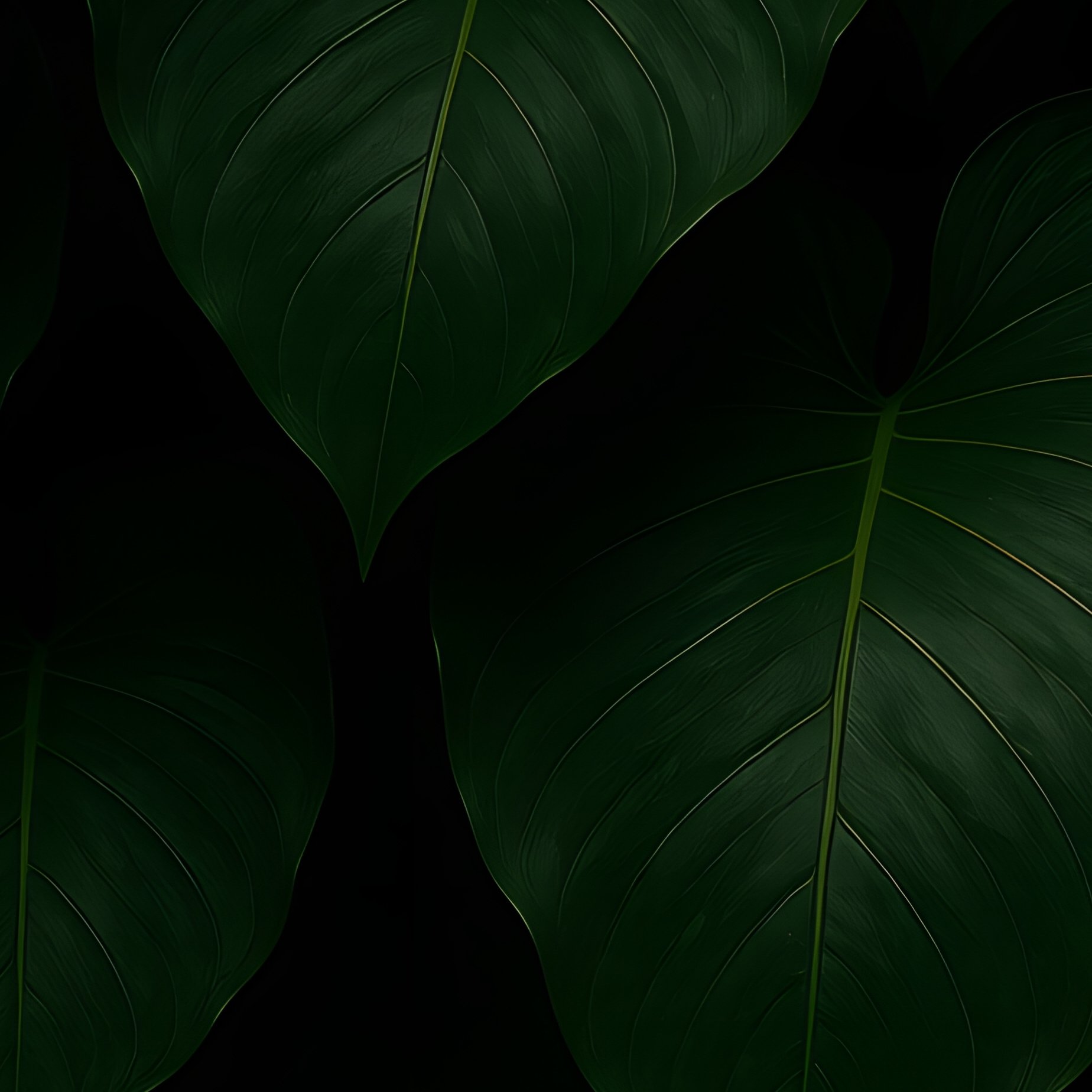 Large Green Leaves Tropical Nature - Full Resolution Quality Preview