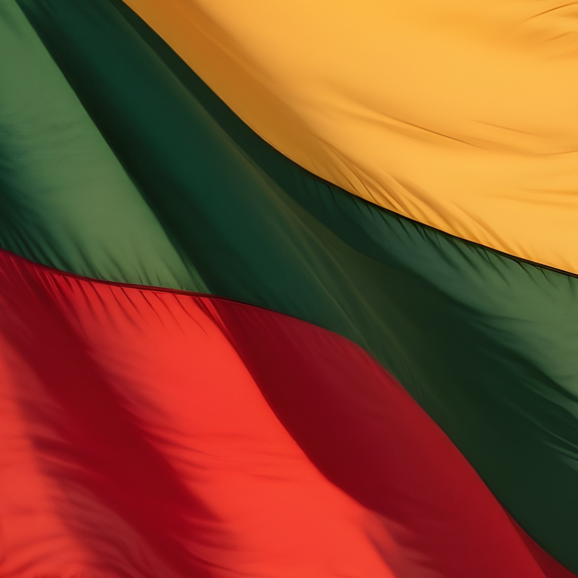 Lithuanian Flag Half Mast Wind - Full Resolution Quality Preview