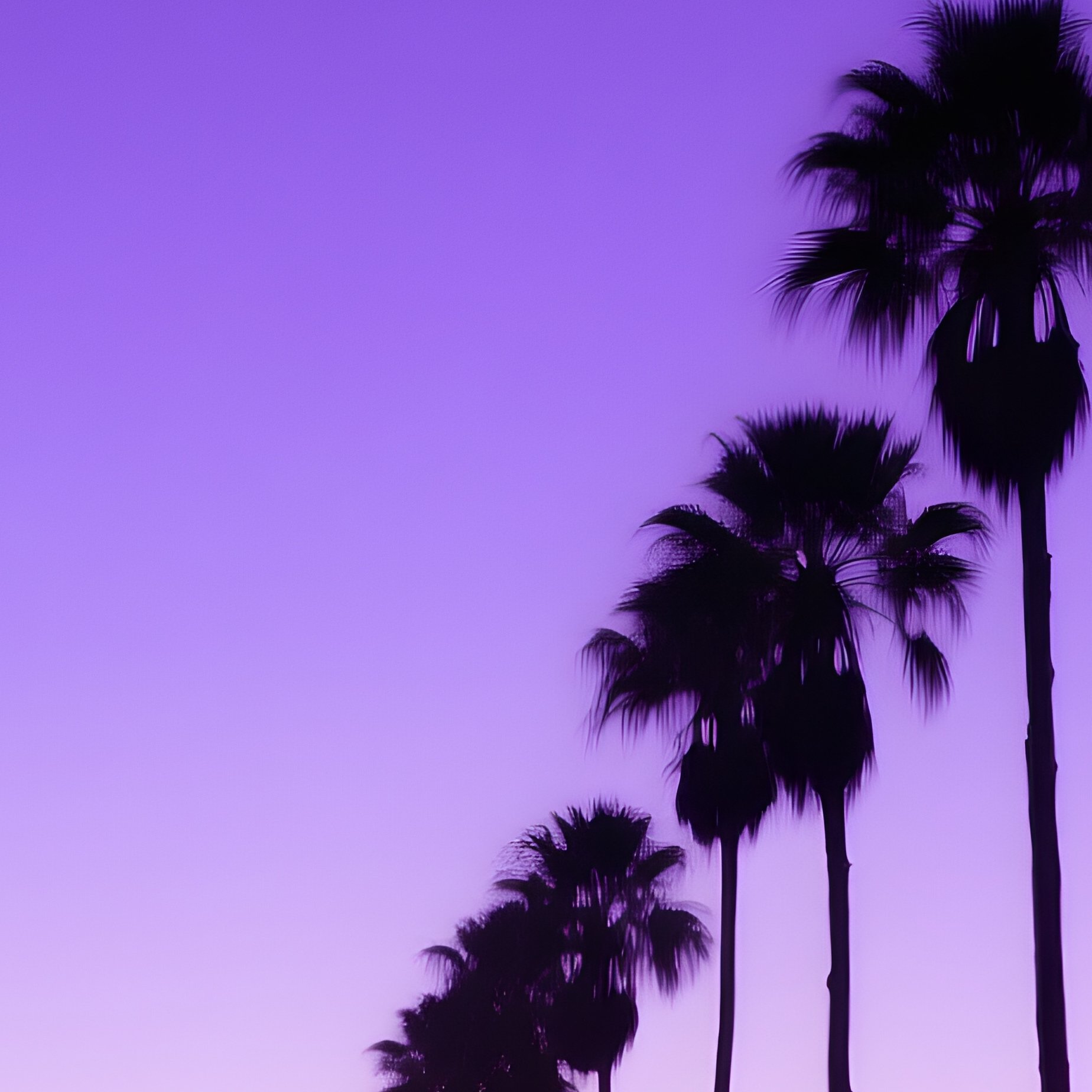 Palm Trees At Dusk California Twilight - Full Resolution Quality Preview