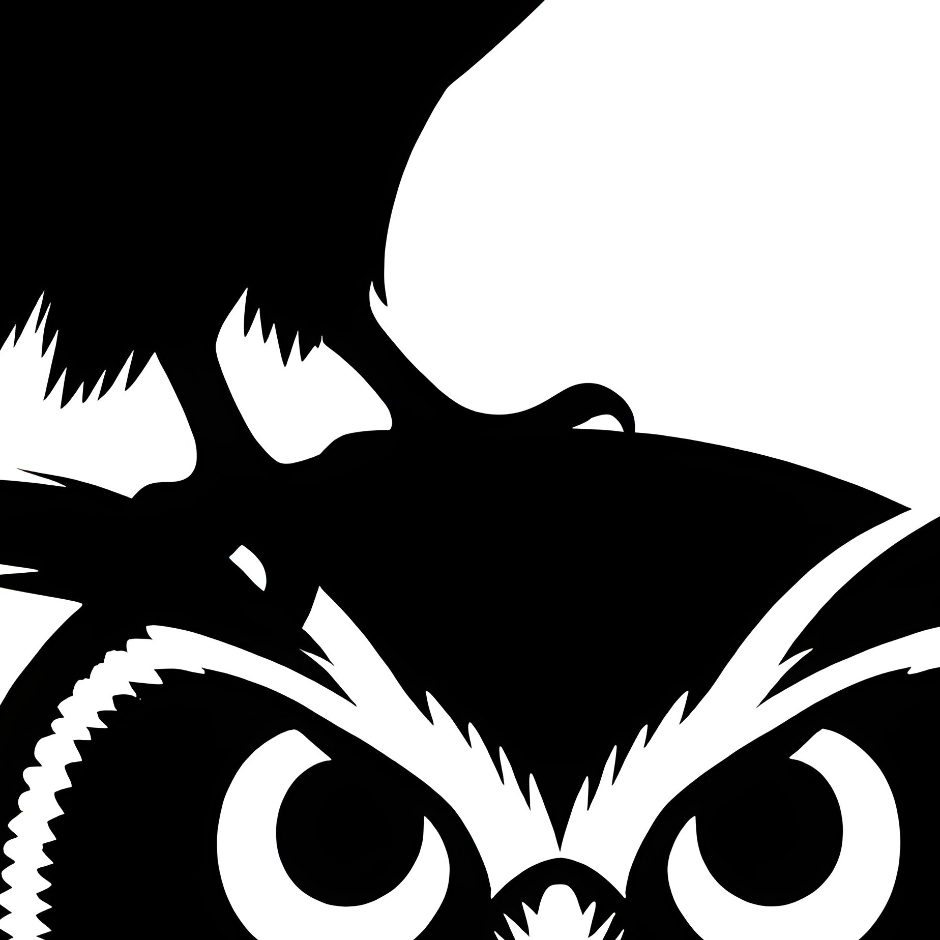 Peregrine Falcon Harmony With Another Bird Abstract Art - Full Resolution Quality Preview