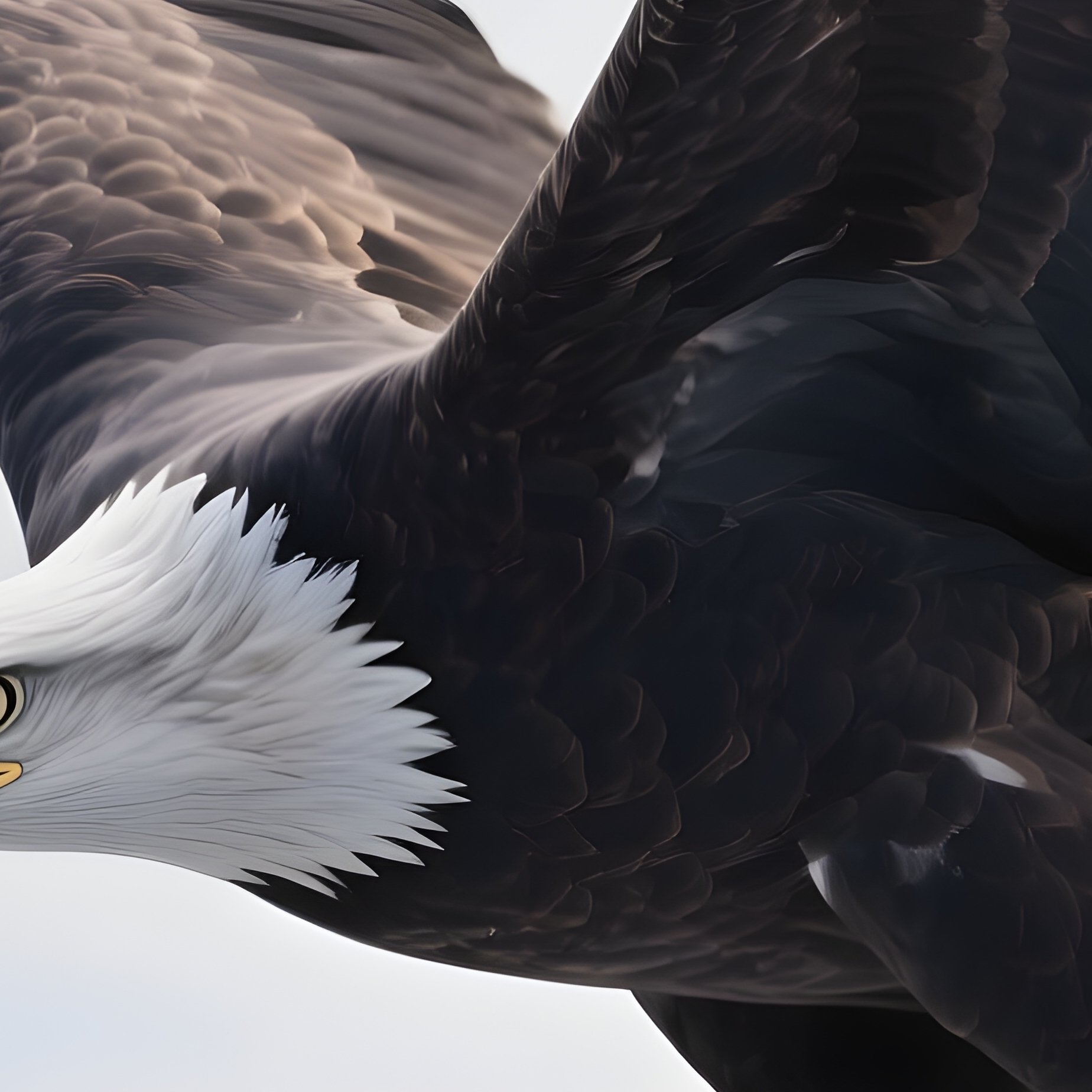 Photorealistic Image: An Ice Eagle Diving From Frozen Clouds. - Full Resolution Quality Preview