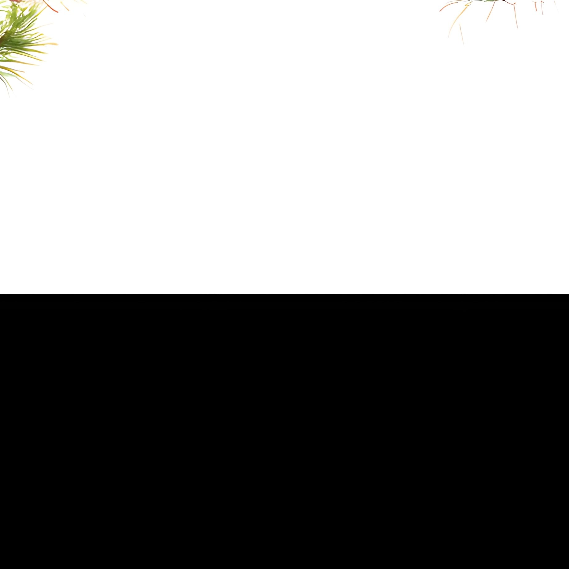 Pine Trees In Various Styles Pine Tree Digital Art - Full Resolution Quality Preview