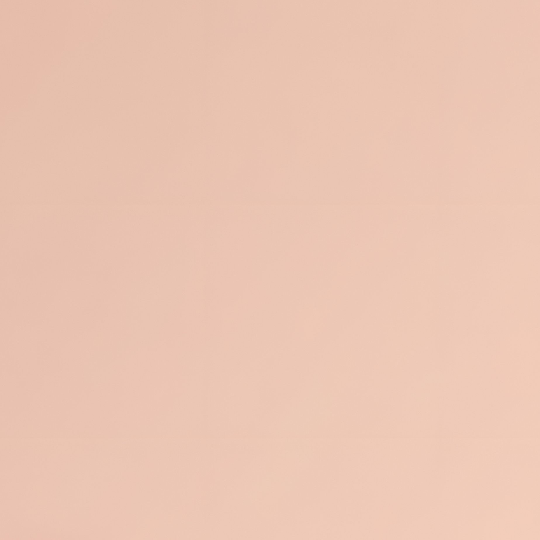 Pumpkins And Bats Halloween Pumpkins - Full Resolution Quality Preview