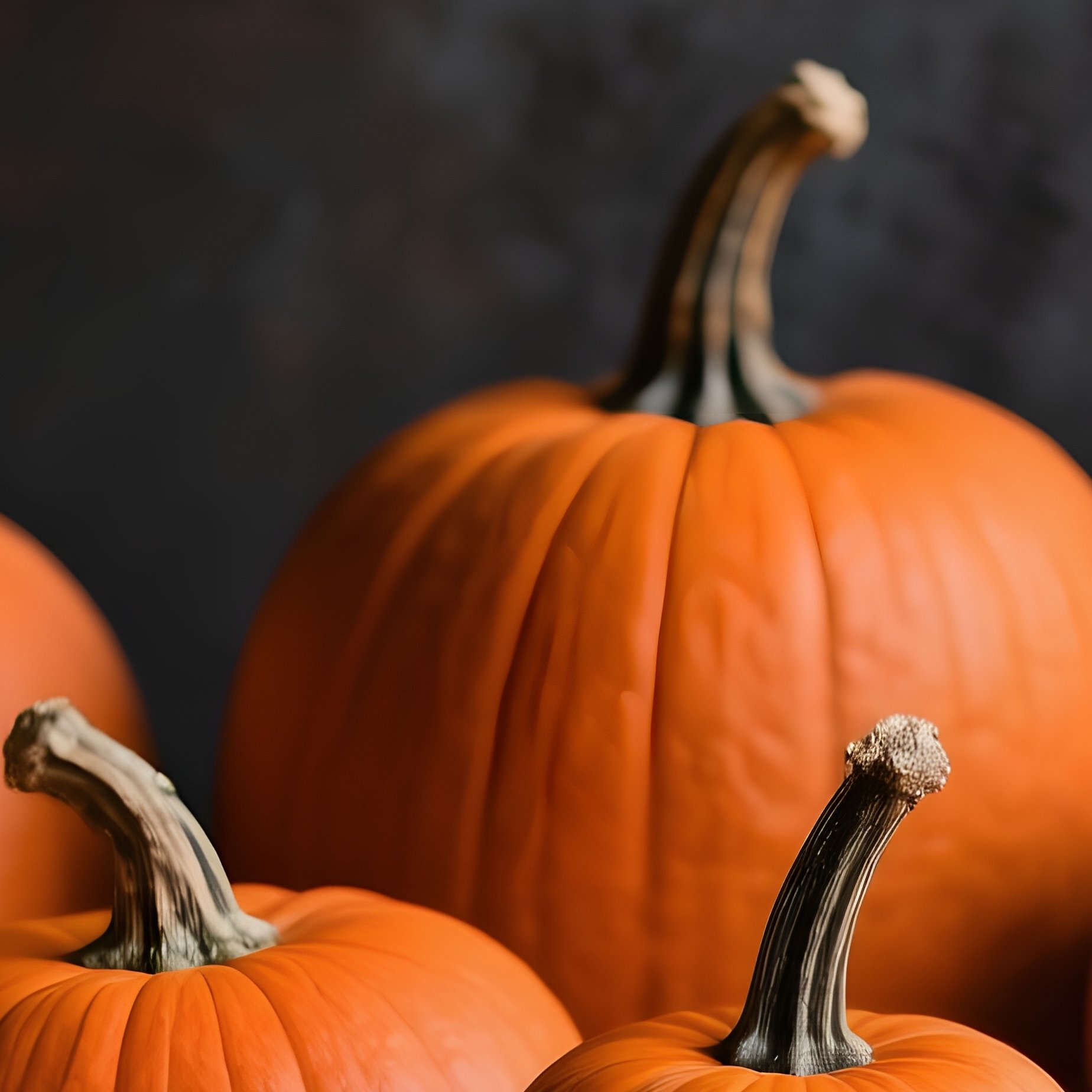 Pumpkins On A Wooden Table Pumpkins Autumn - Full Resolution Quality Preview