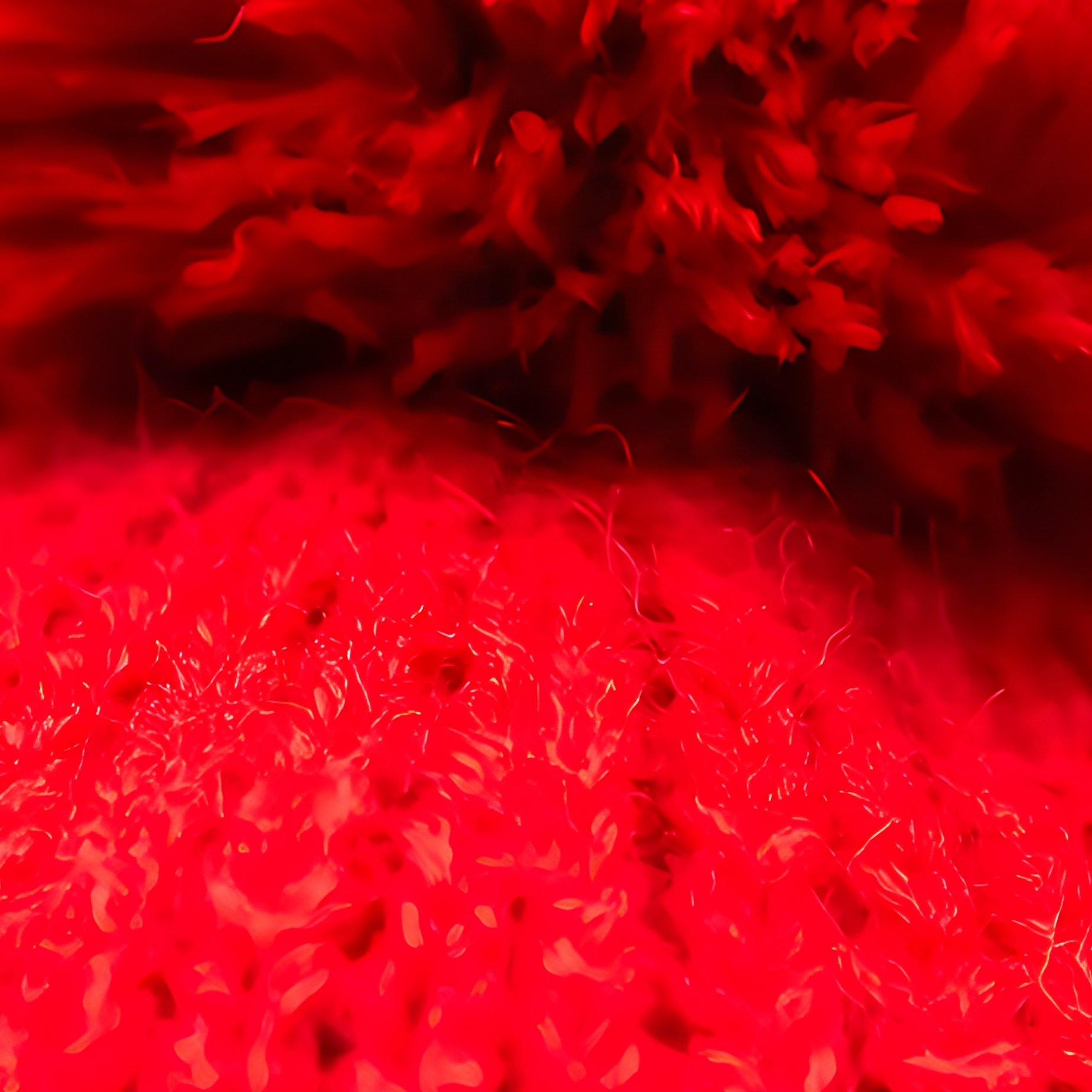 Red Knitted Hat With A Pom Pom Red Hat - Full Resolution Quality Preview