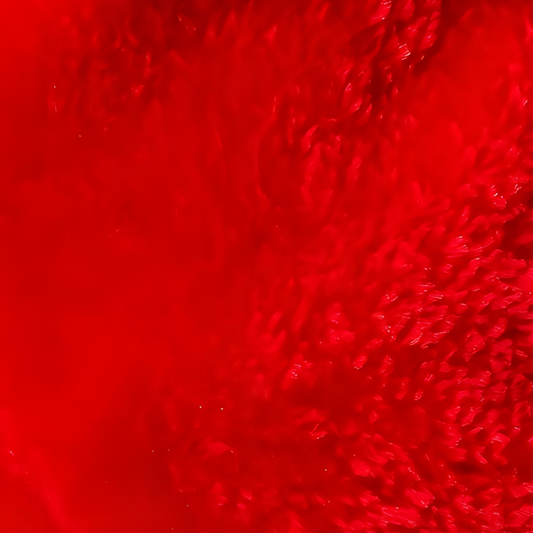 Santa Claus Hat Christmas Holiday - Full Resolution Quality Preview