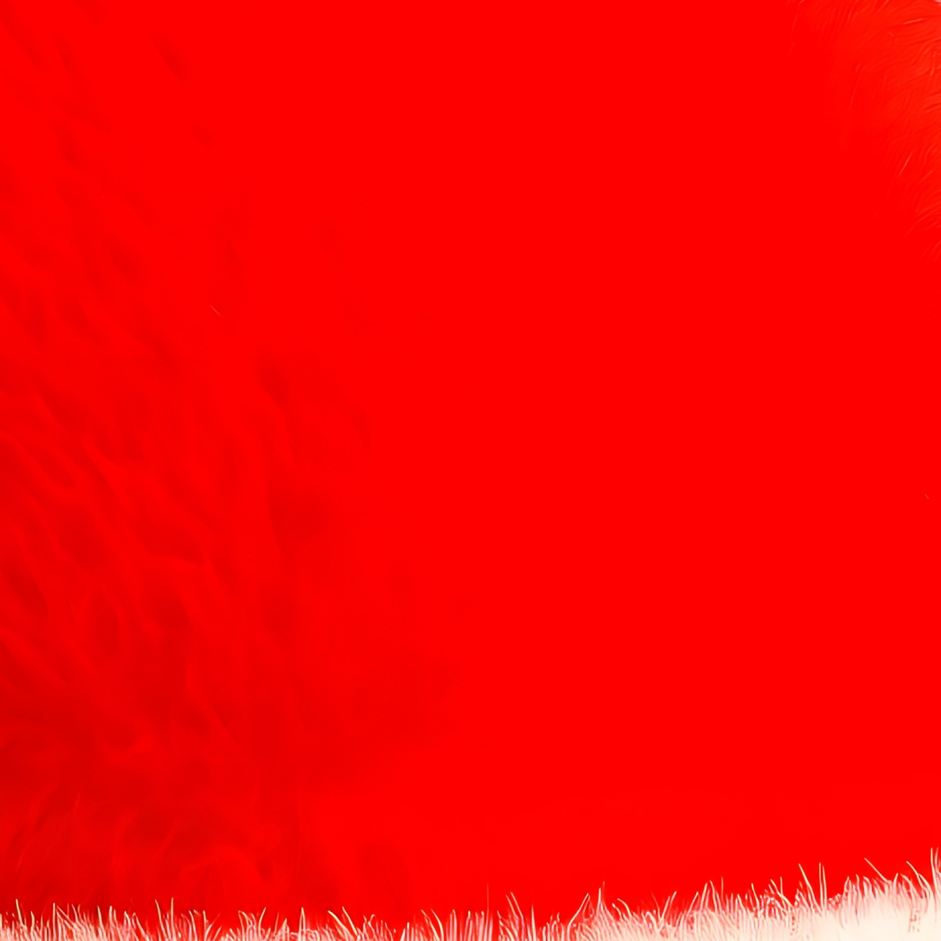 Santa Claus Hat Christmas Holiday - Full Resolution Quality Preview