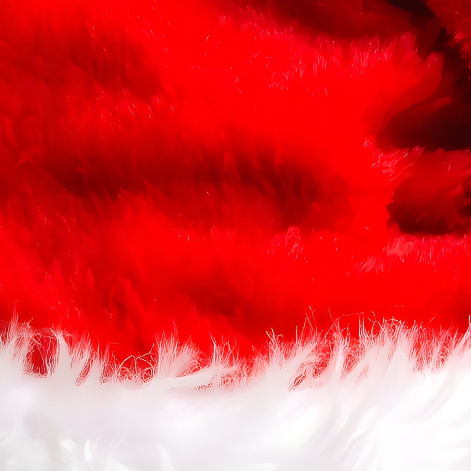Santa Claus Hat Christmas Holiday - Full Resolution Quality Preview