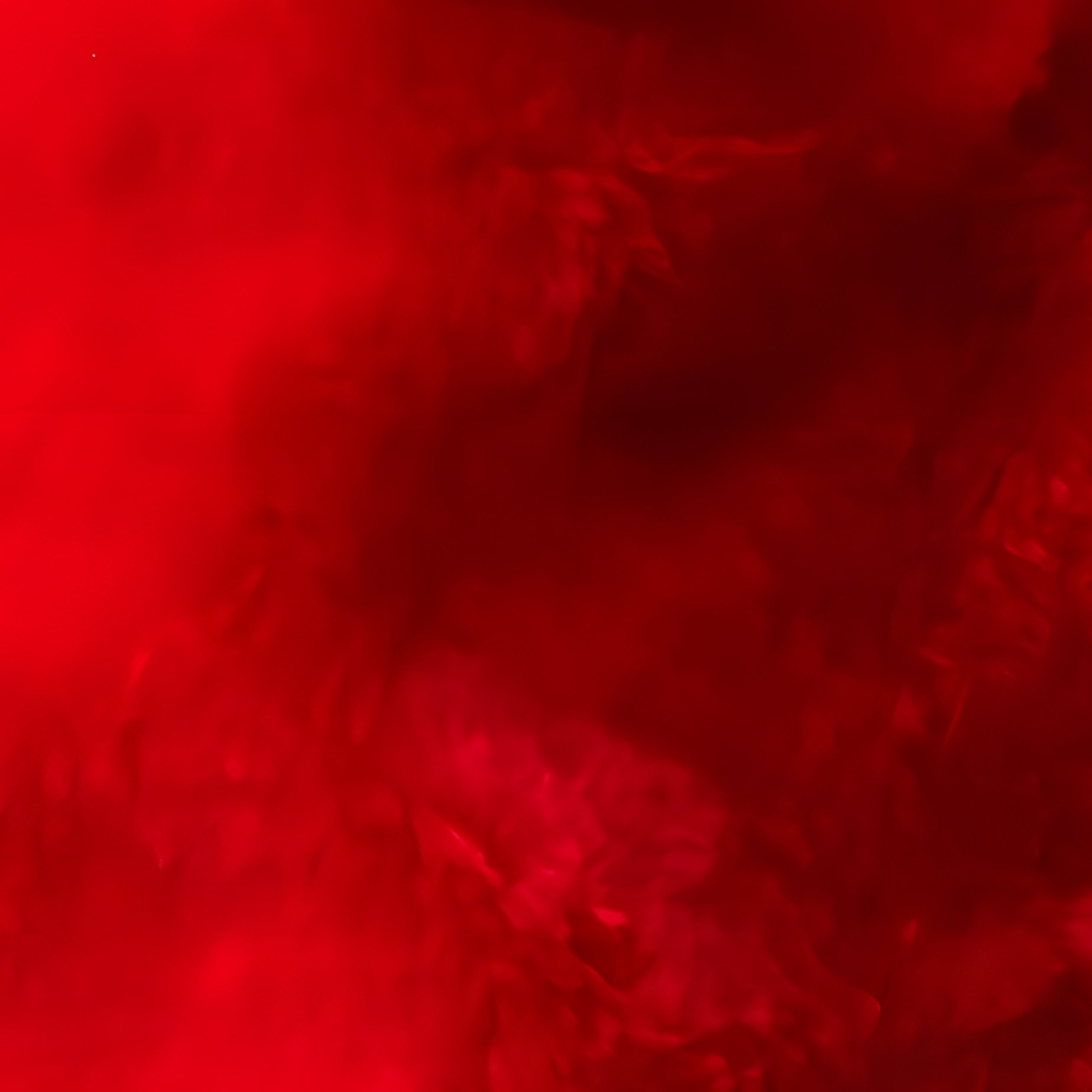 Santa Claus Hat Christmas Holiday - Full Resolution Quality Preview