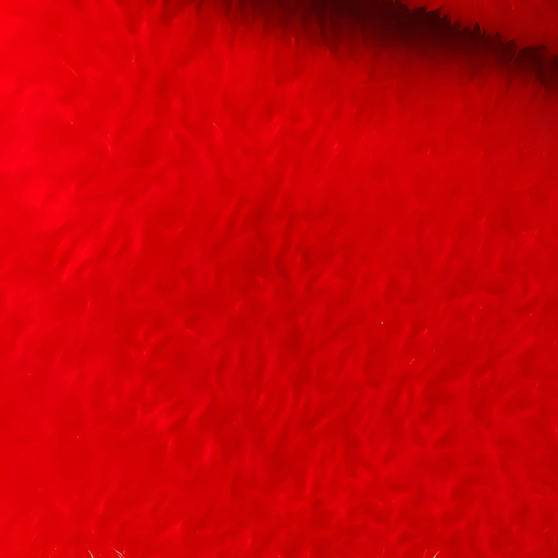 Santa Claus Hat Christmas Holiday - Full Resolution Quality Preview