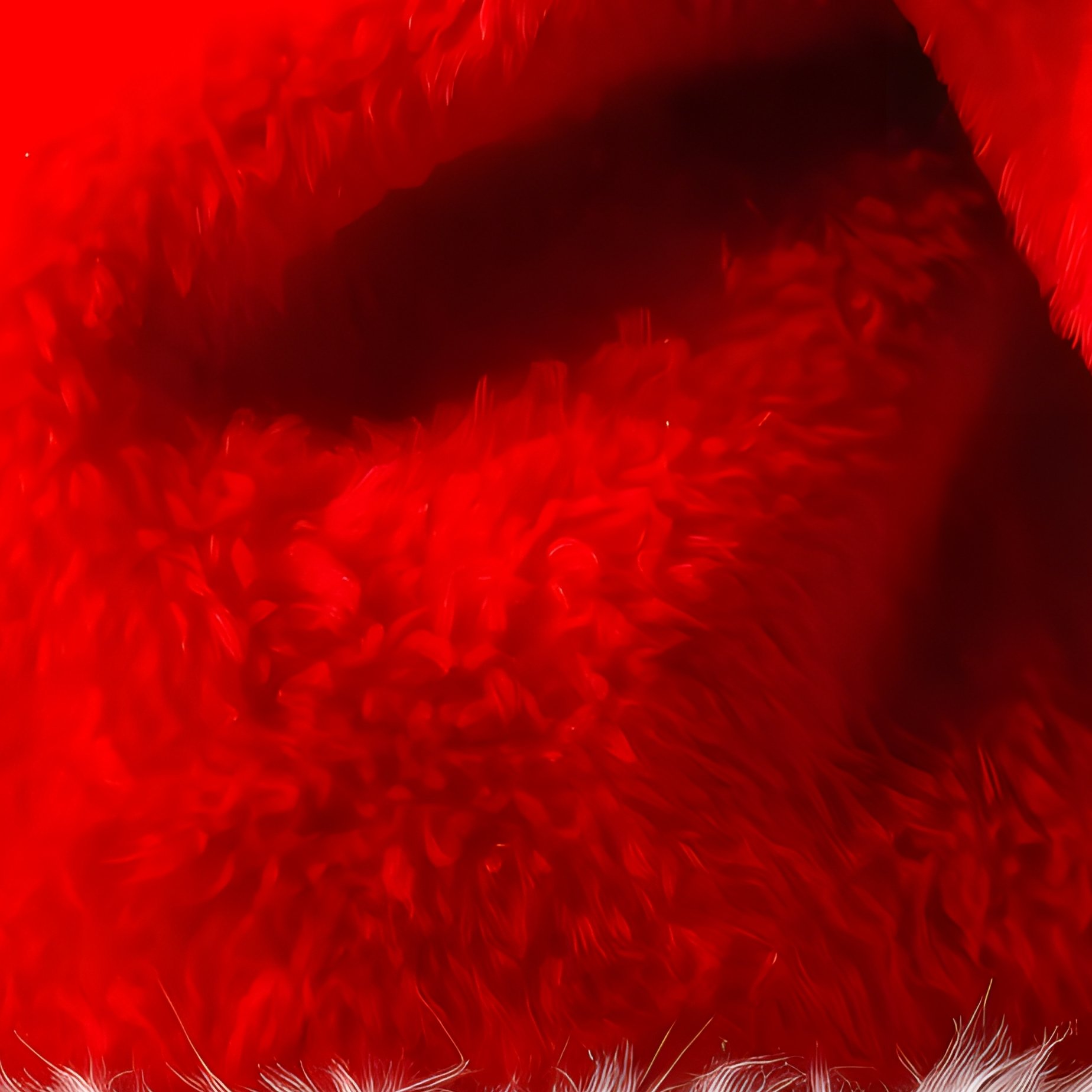 Santa Claus Hat Christmas Holiday - Full Resolution Quality Preview