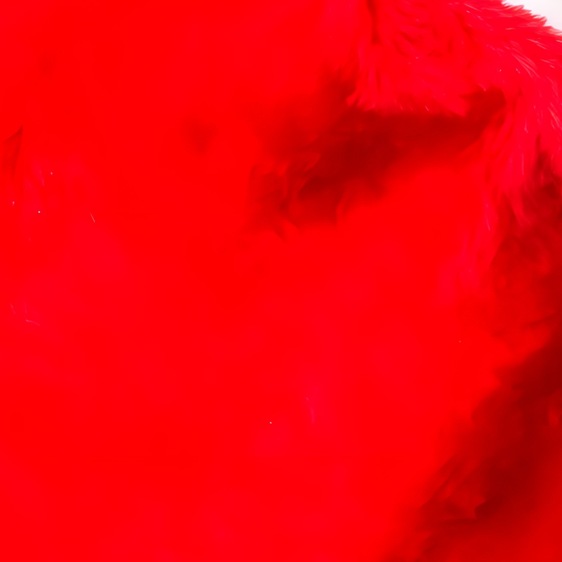 Santa Claus Hat Christmas Holiday - Full Resolution Quality Preview