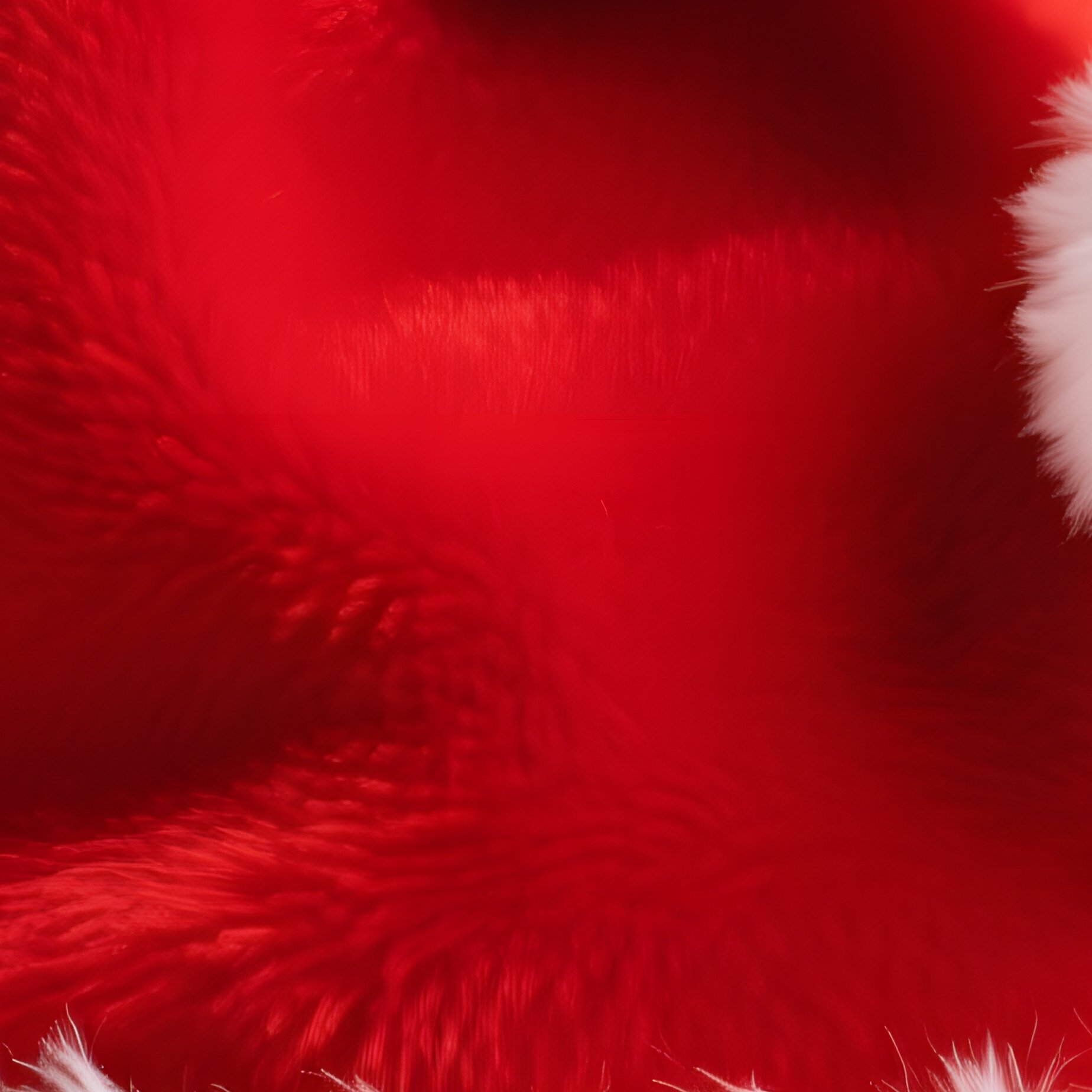 Santa Claus Hat Christmas Holiday - Full Resolution Quality Preview