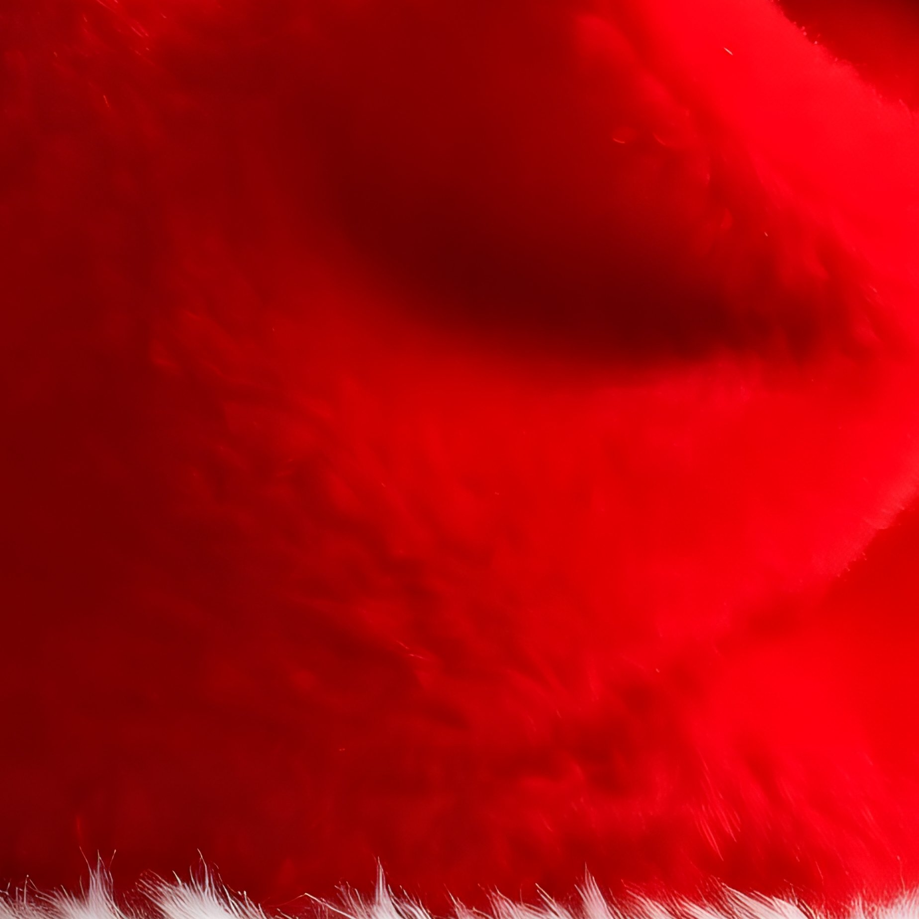 Santa Claus Hat Christmas Holiday - Full Resolution Quality Preview