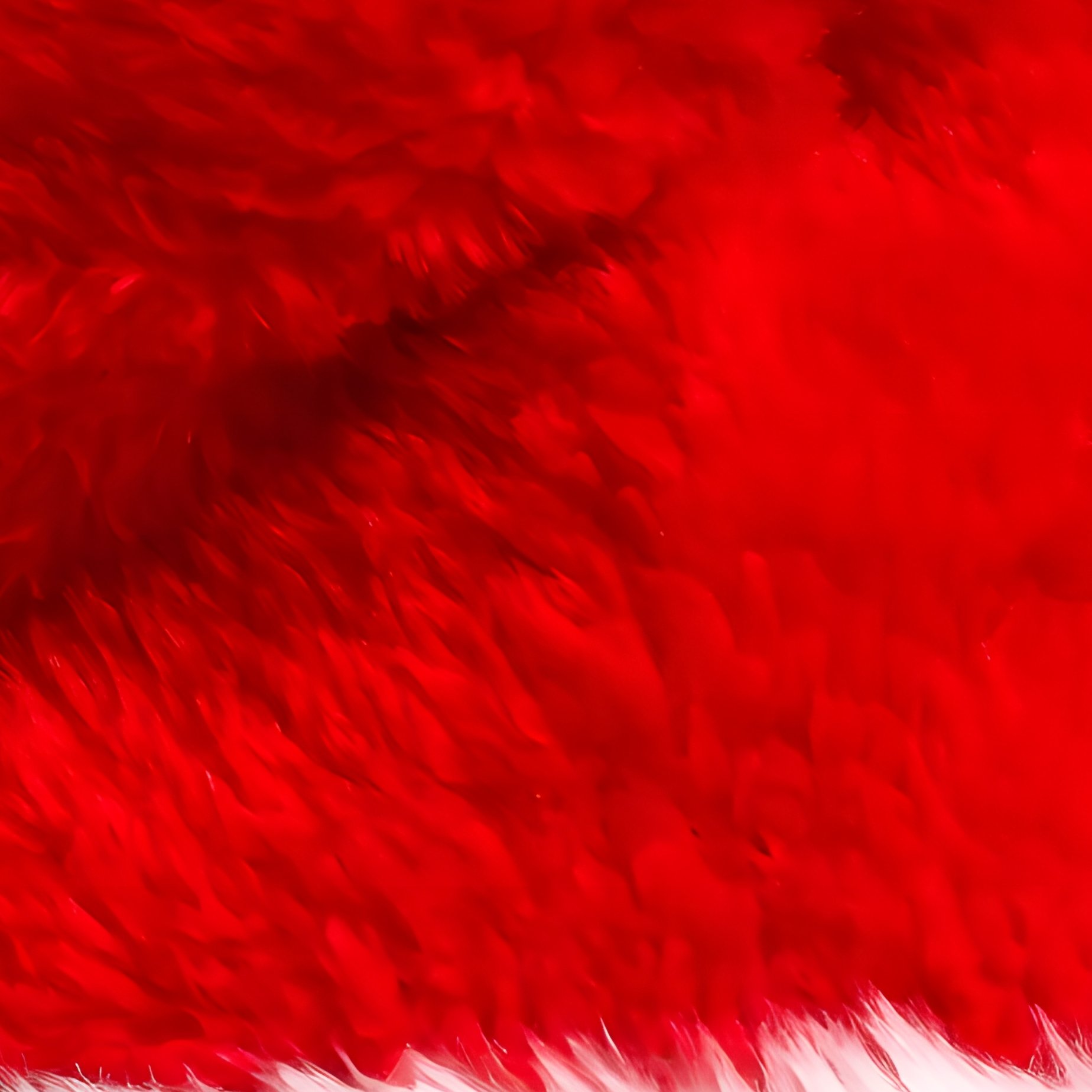 Santa Claus Hat Christmas Holiday - Full Resolution Quality Preview