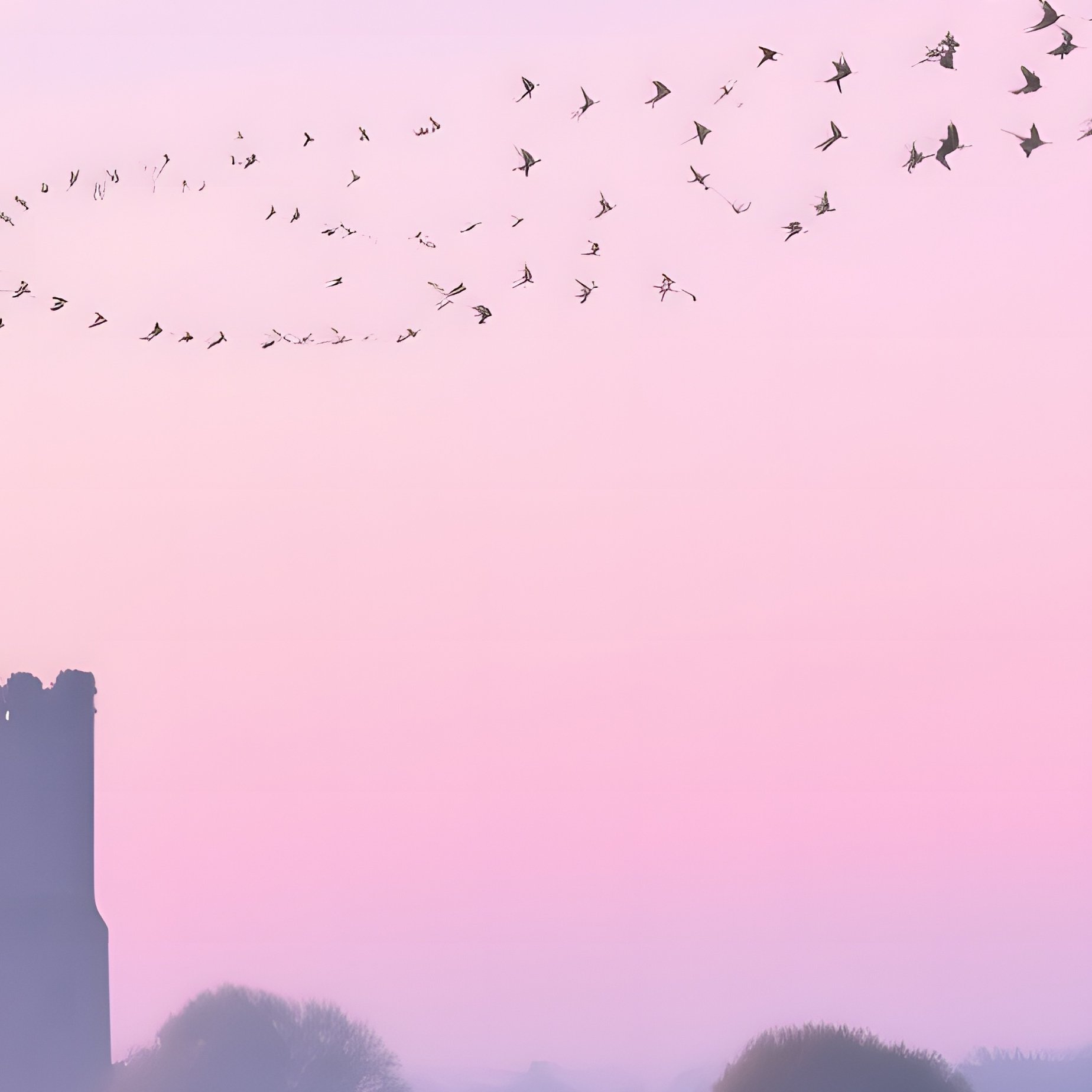 Serene Dawn Starlings Fishermen Riverbank - Full Resolution Quality Preview