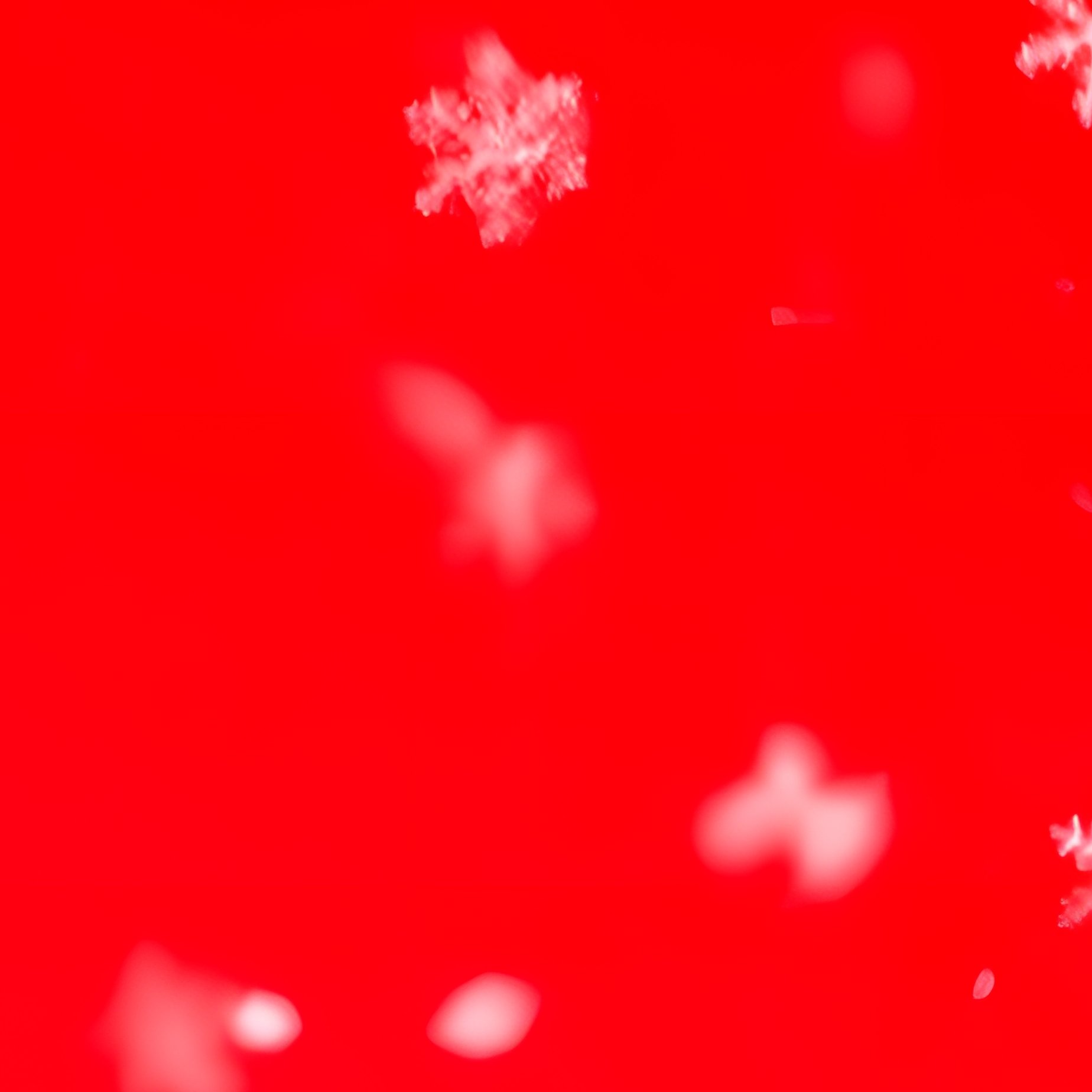 Snowflakes On A Red Background Snowflakes Red Background - Full Resolution Quality Preview