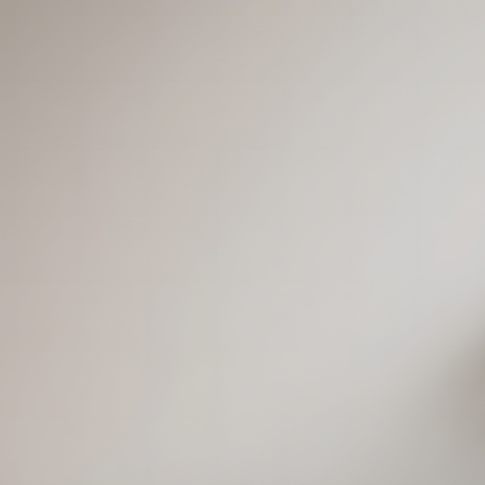 Specific Aesthetics & Details - Full Resolution Quality Preview