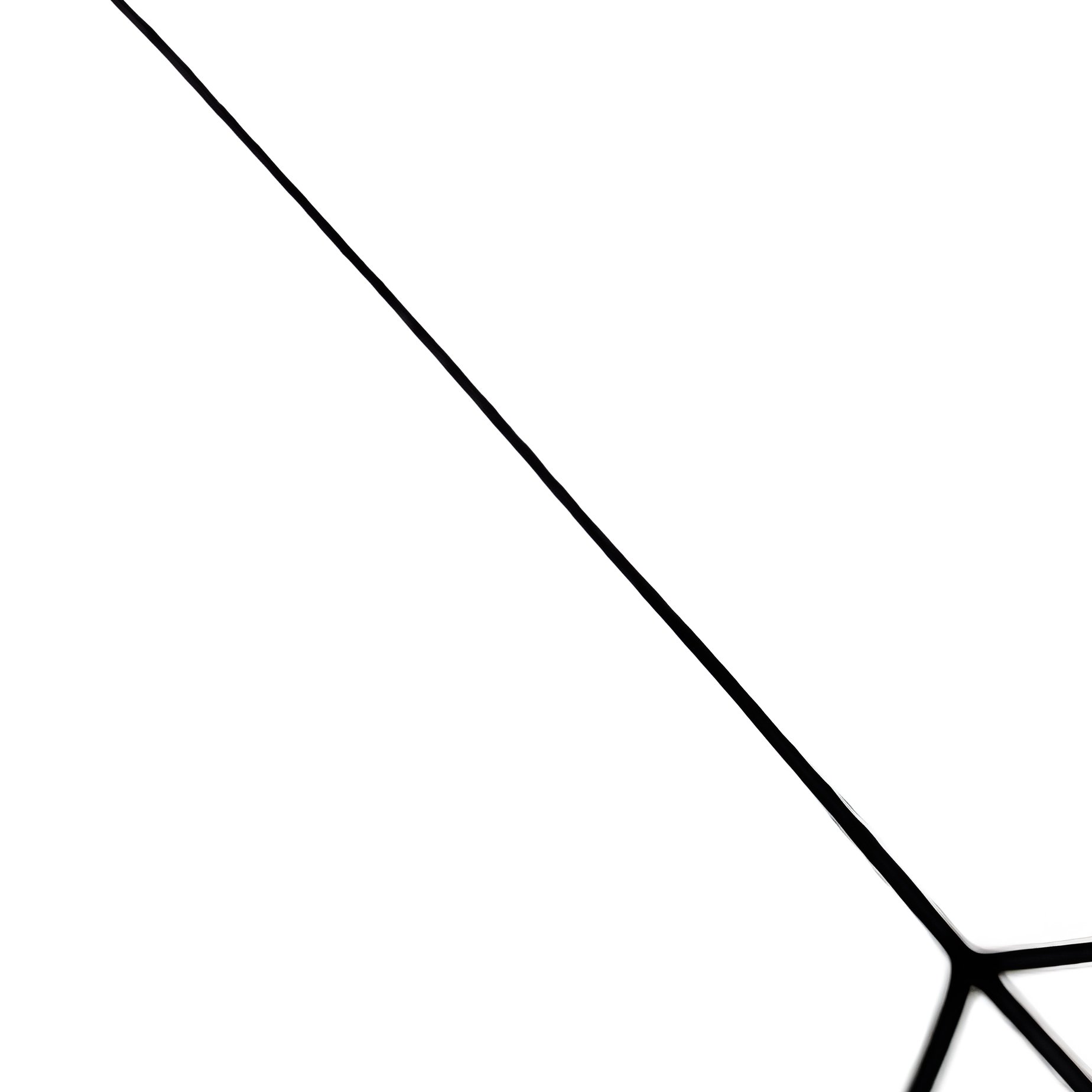 Spider On A Web Spider Web - Full Resolution Quality Preview