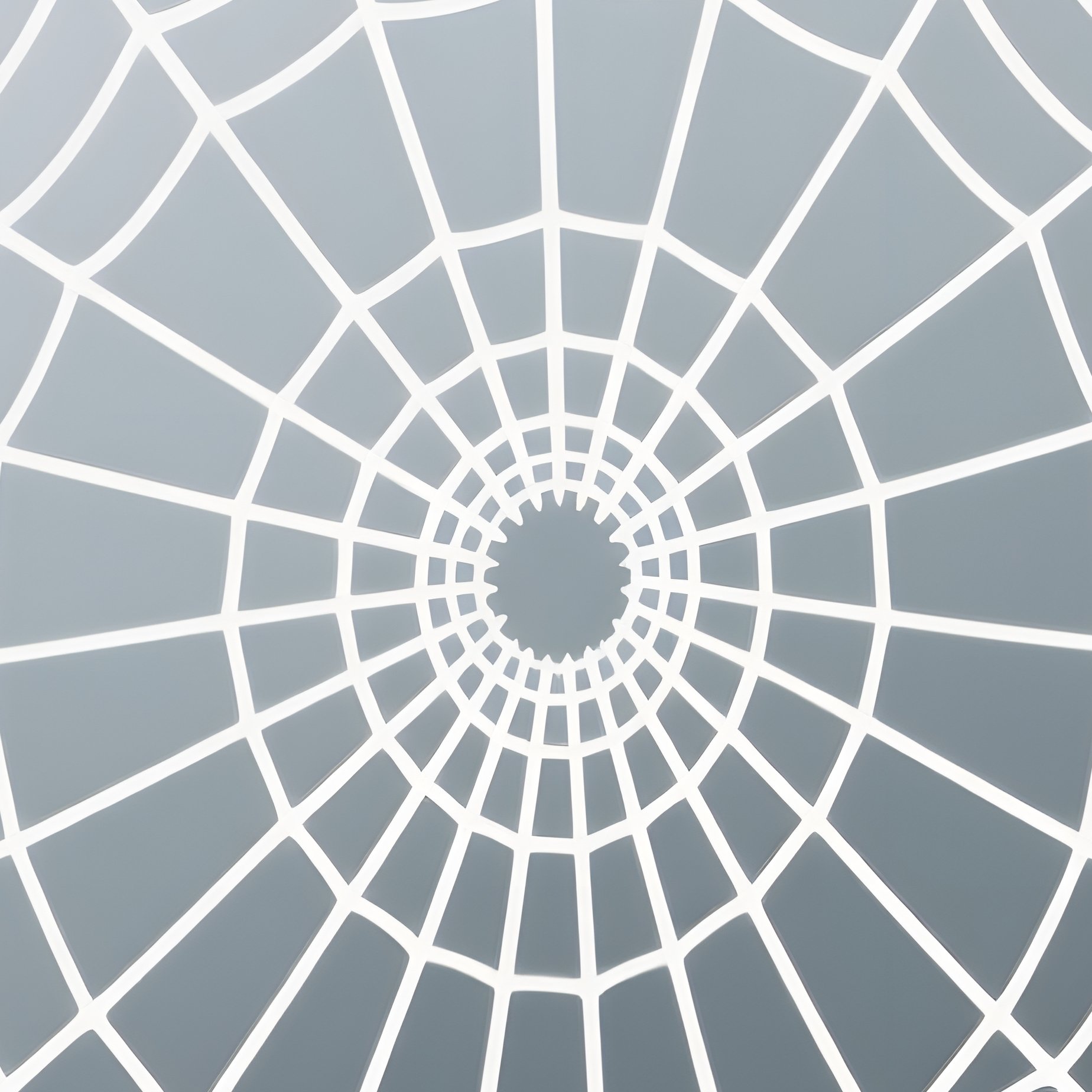 Spider Web Spider Web Drawing - Full Resolution Quality Preview