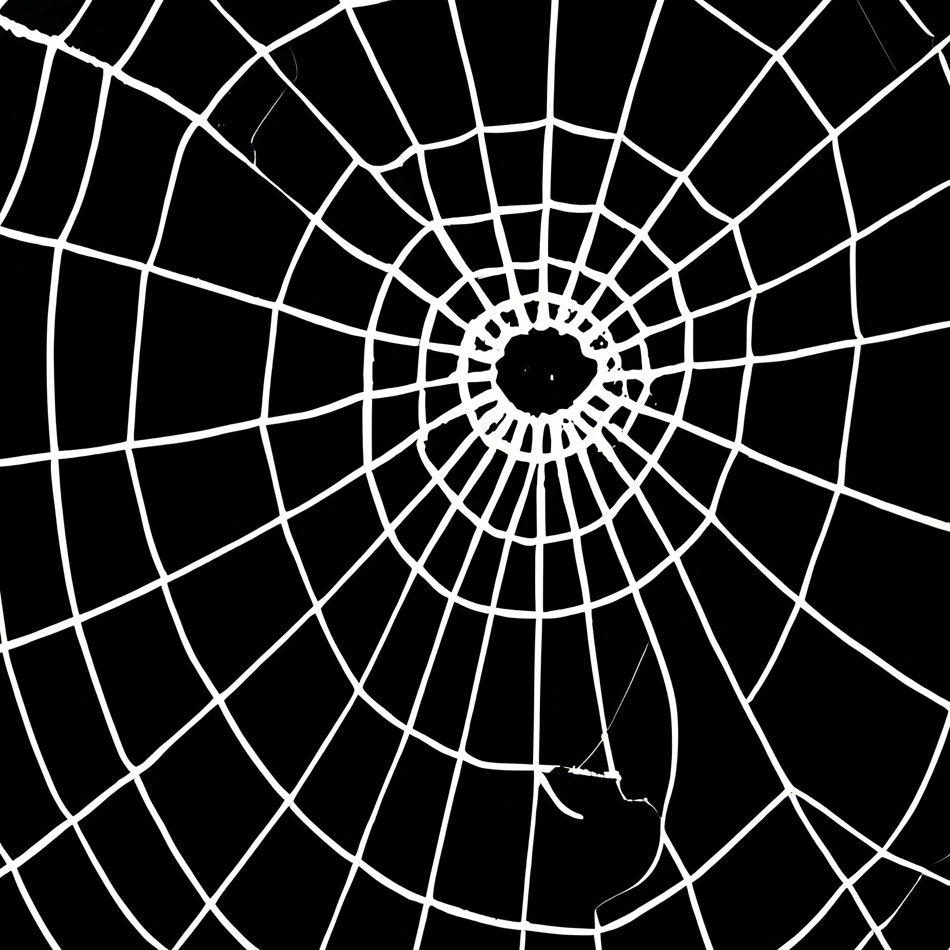 Spider Web Spider Web Drawing - Full Resolution Quality Preview