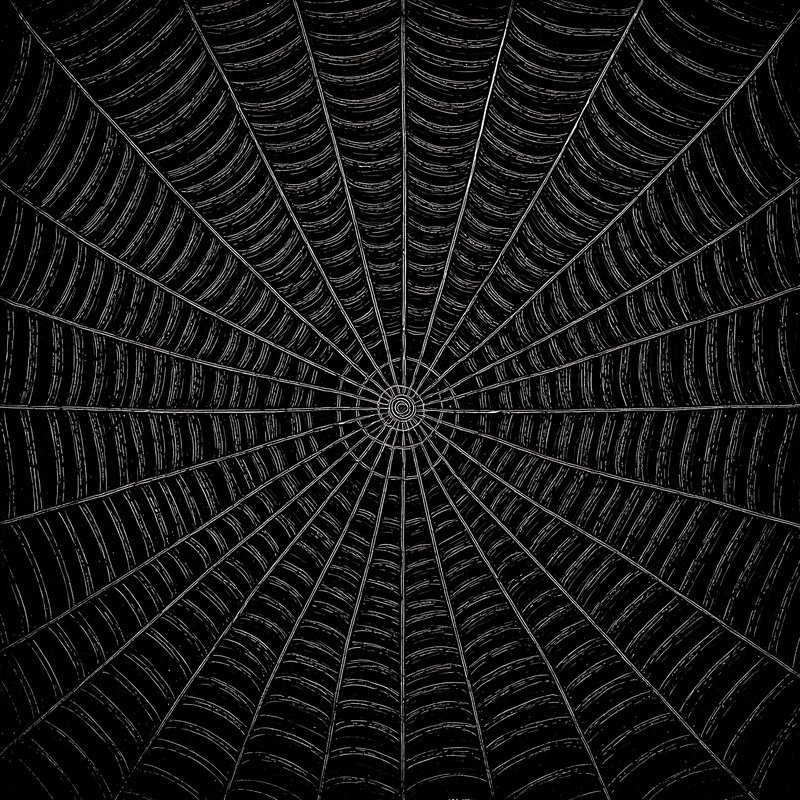 Spider Web Spider Web Drawing