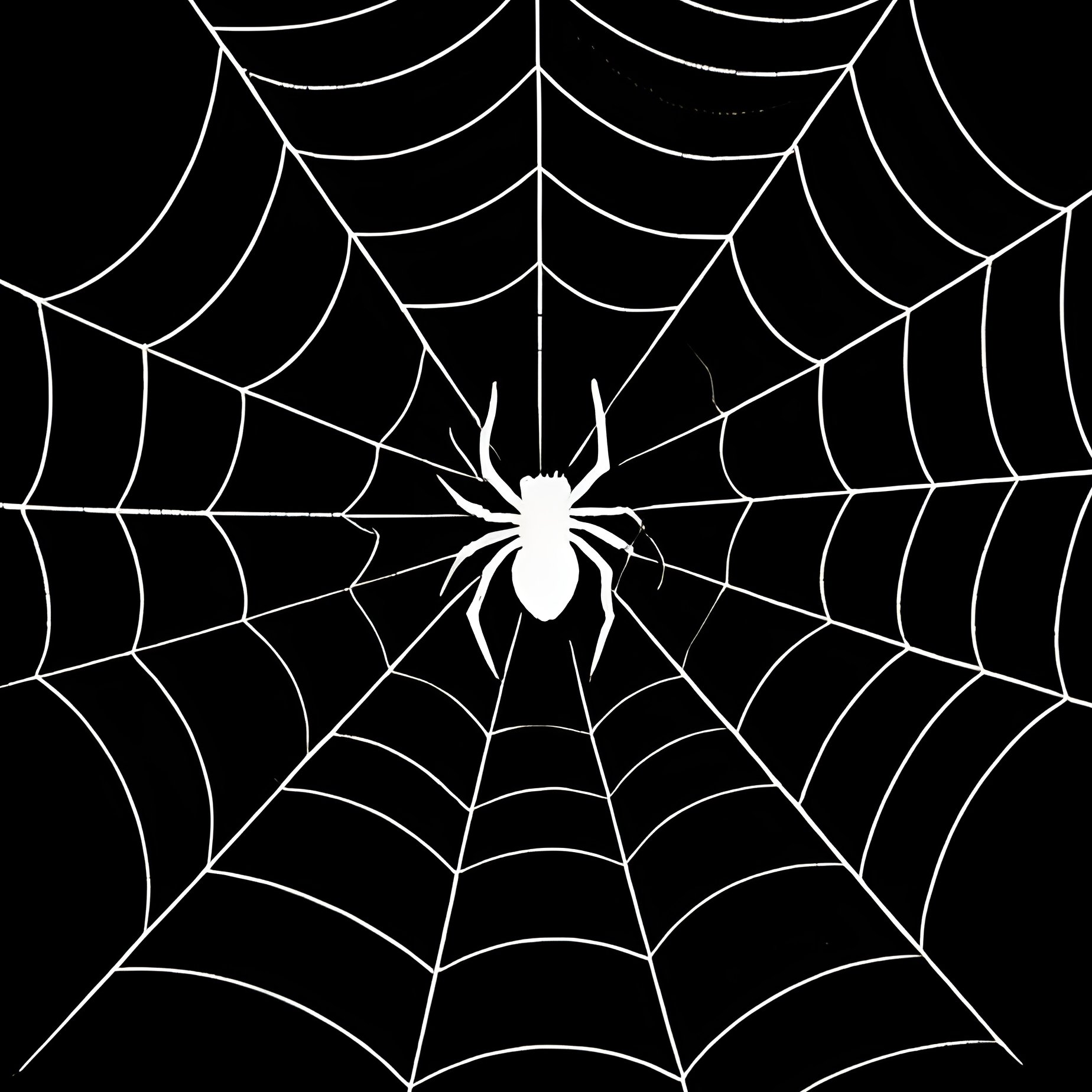 Spider Webs Spider Webs Digital Art - Full Resolution Quality Preview