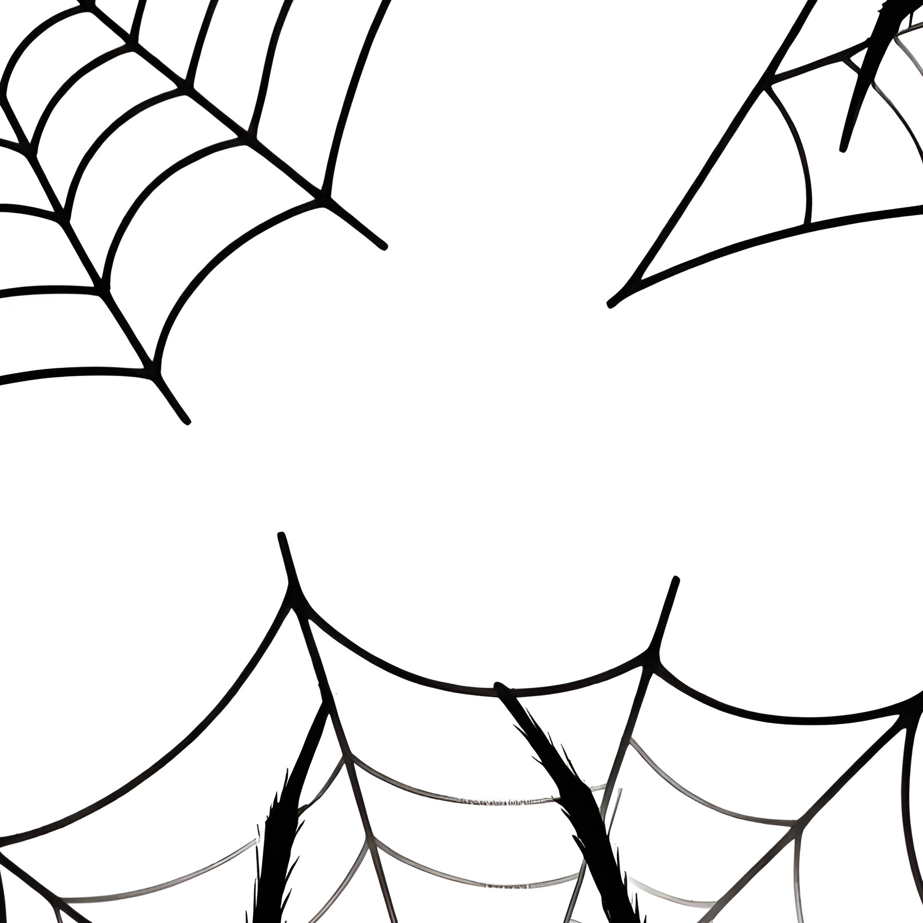 Spider Webs Spider Webs Drawing - Full Resolution Quality Preview