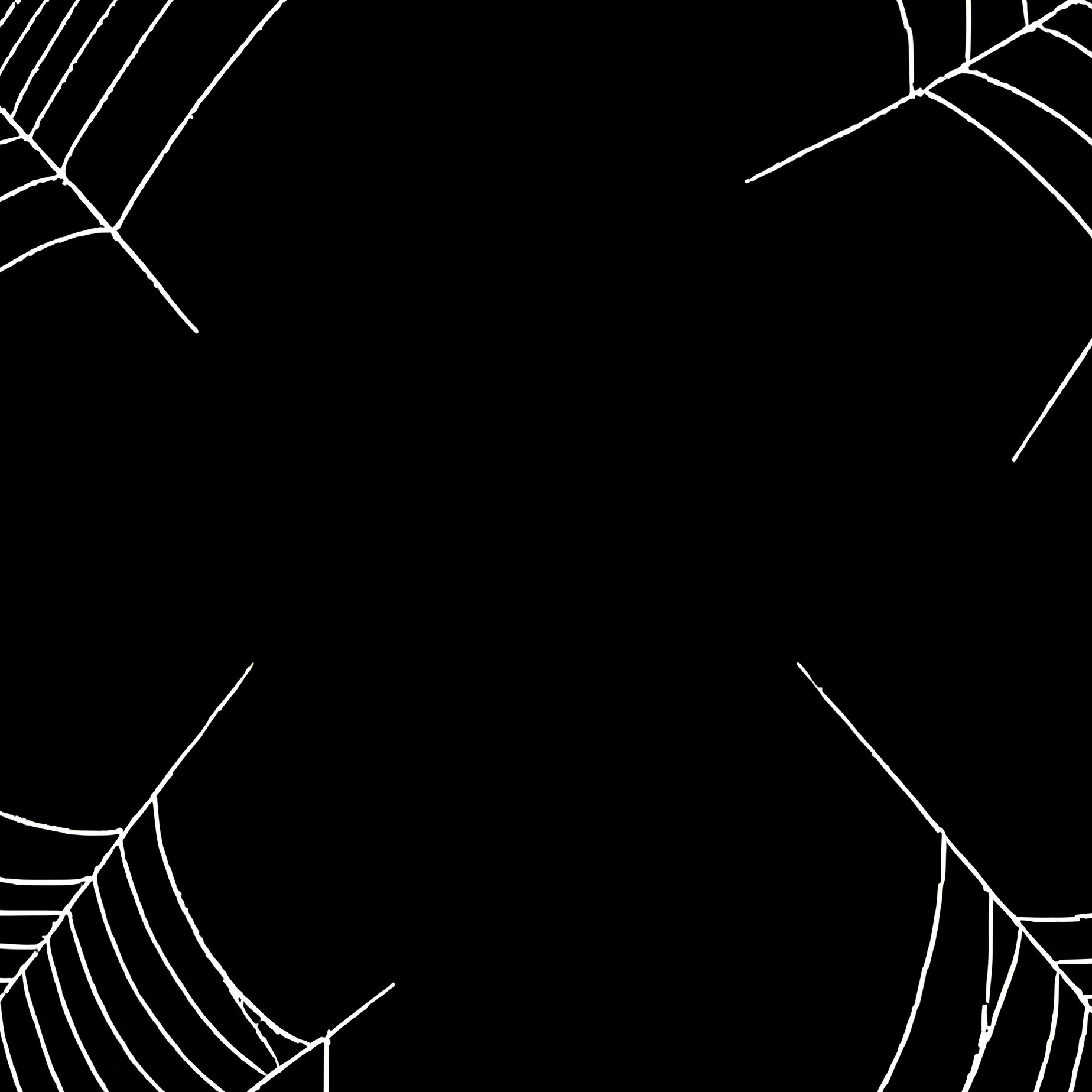 Spiders And Their Webs Spiders Webs - Full Resolution Quality Preview