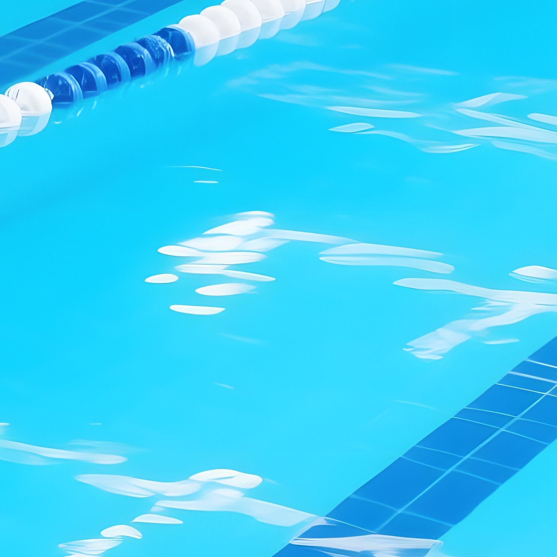 Swimming Pool Swimming Pool - Full Resolution Quality Preview