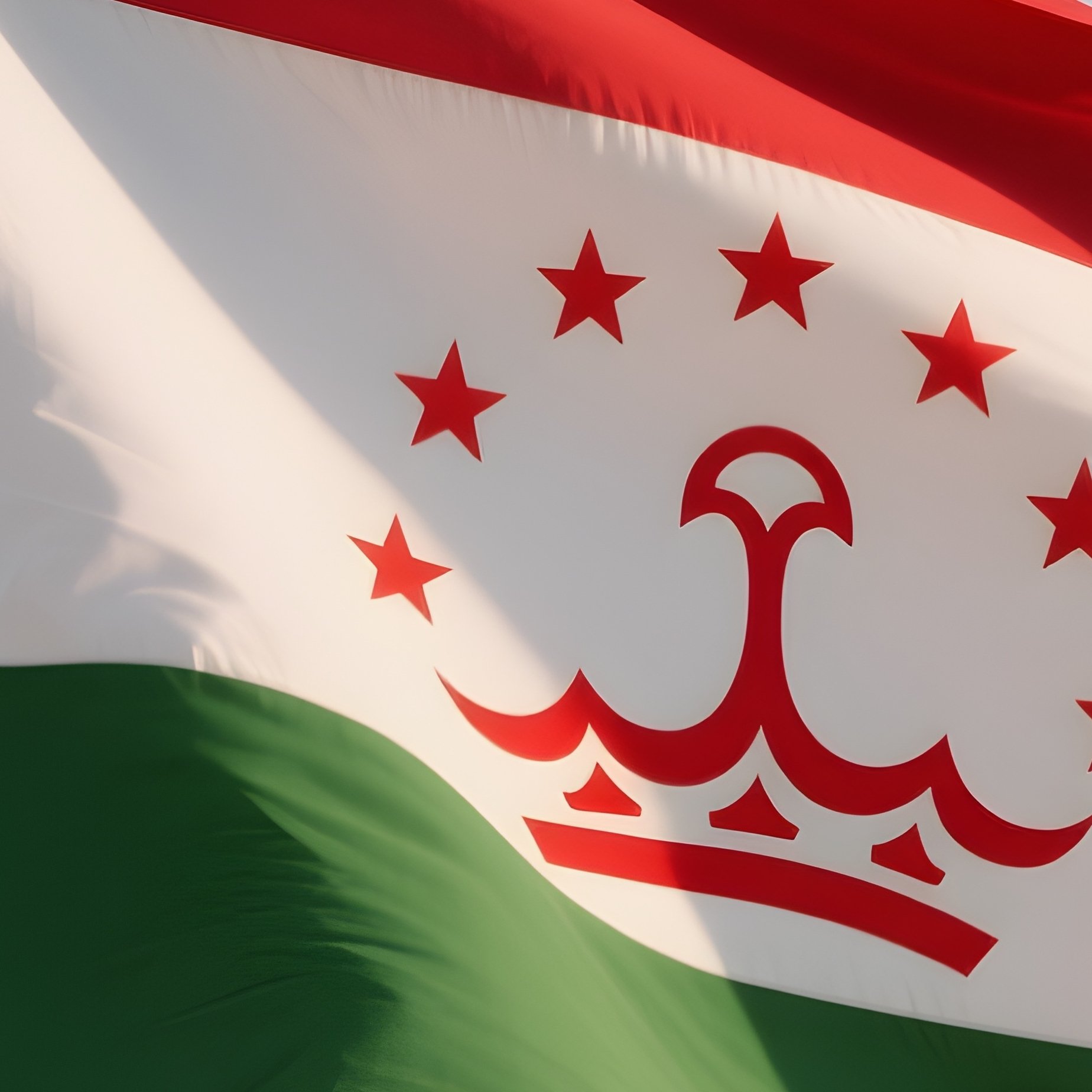 Tajikistan Flag Half Mast Wind - Full Resolution Quality Preview