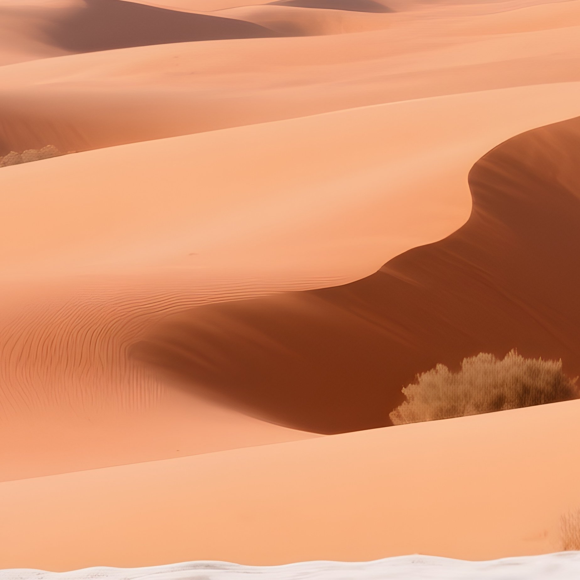 Telephoto Lens Compression Shallow Depth Of Field 7 - Full Resolution Quality Preview