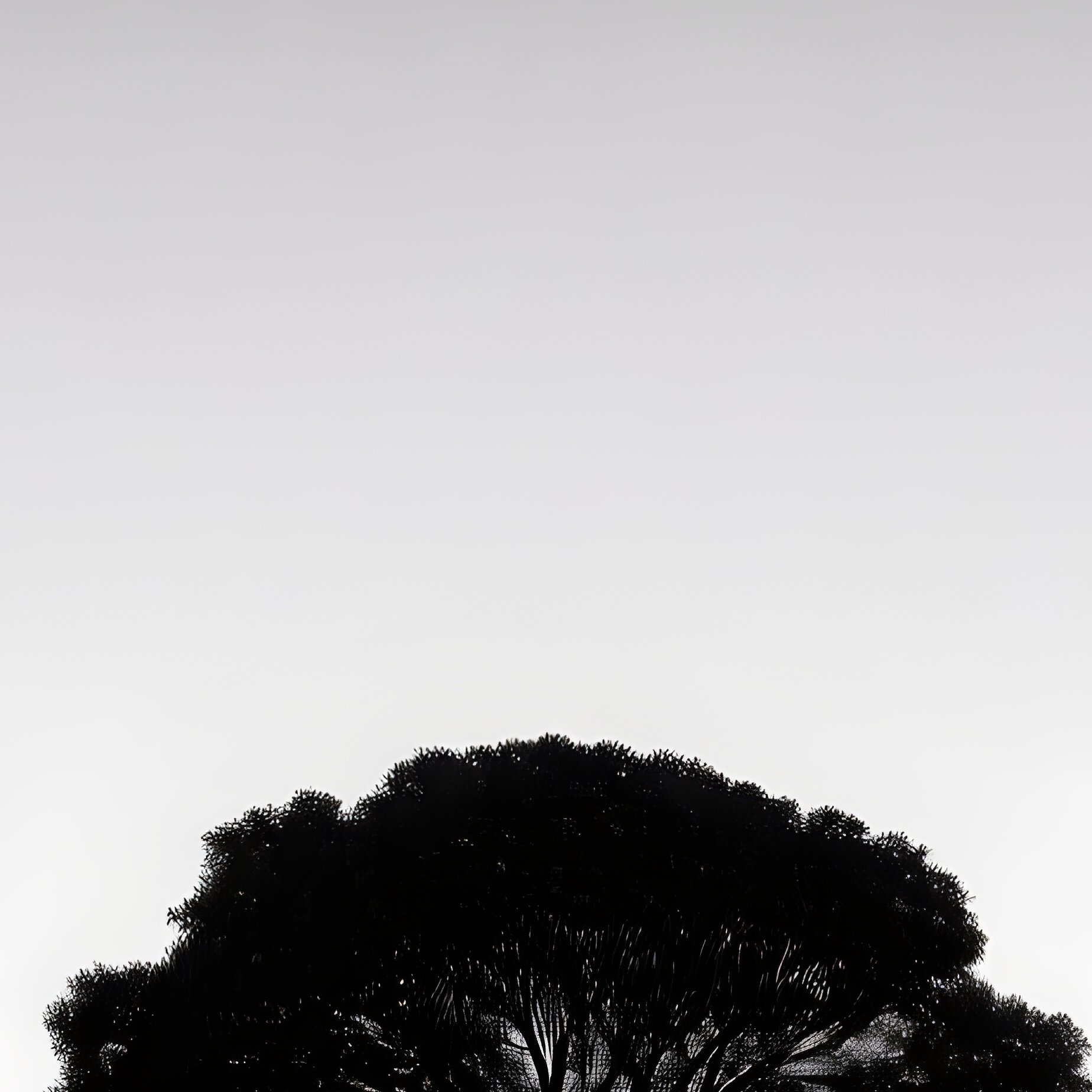 The Extreme Minimalist 2 - Full Resolution Quality Preview