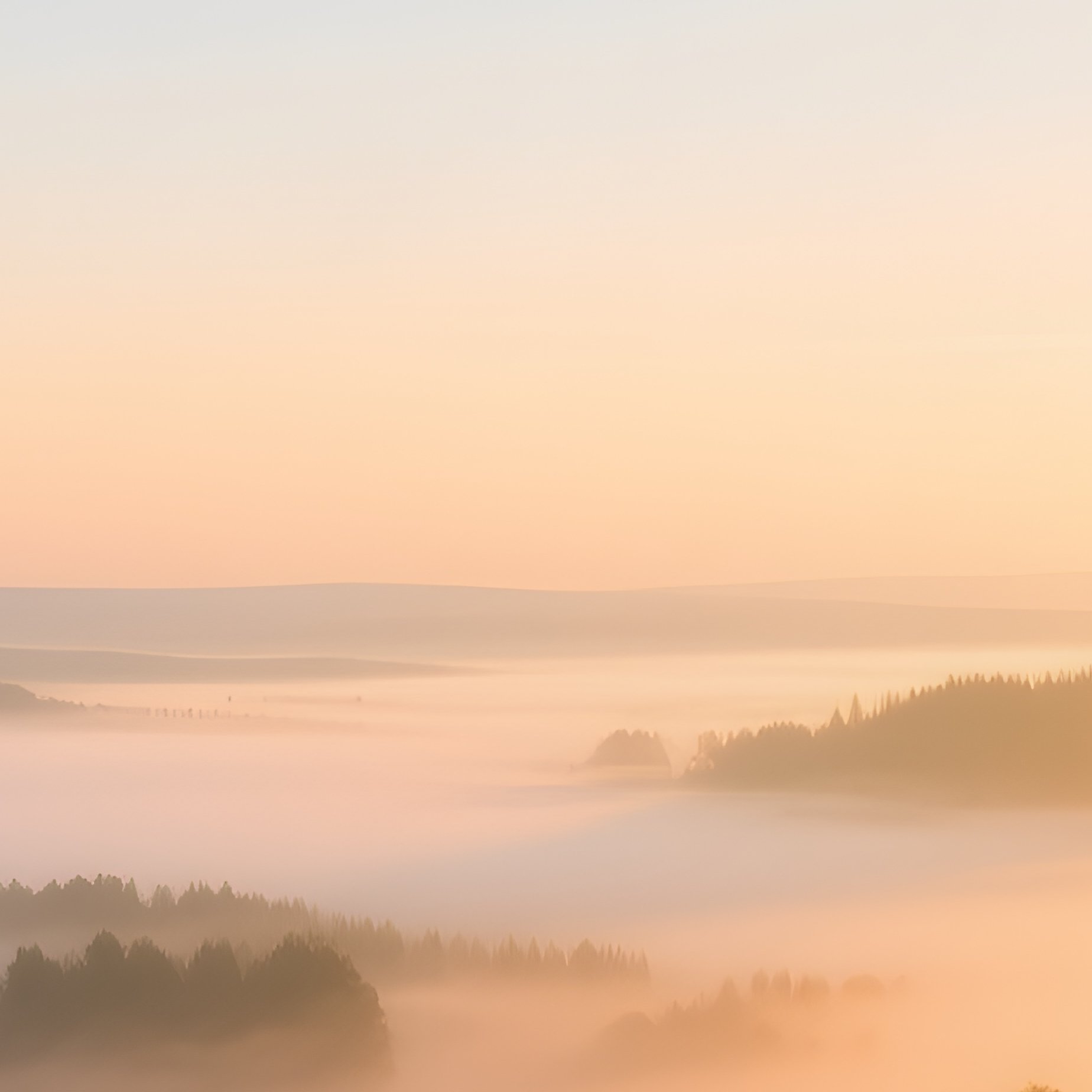 The High Seat At Dawn Hunter S Hochsitz Overlooking Misty Meadow - Full Resolution Quality Preview
