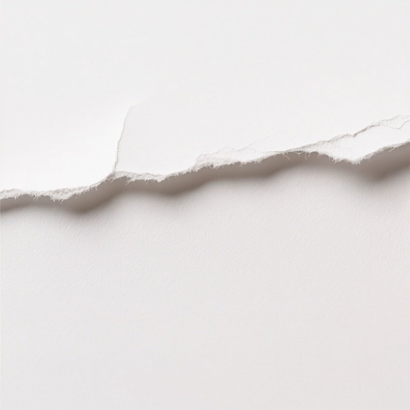 Torn Paper Edge Torn Paper White Background