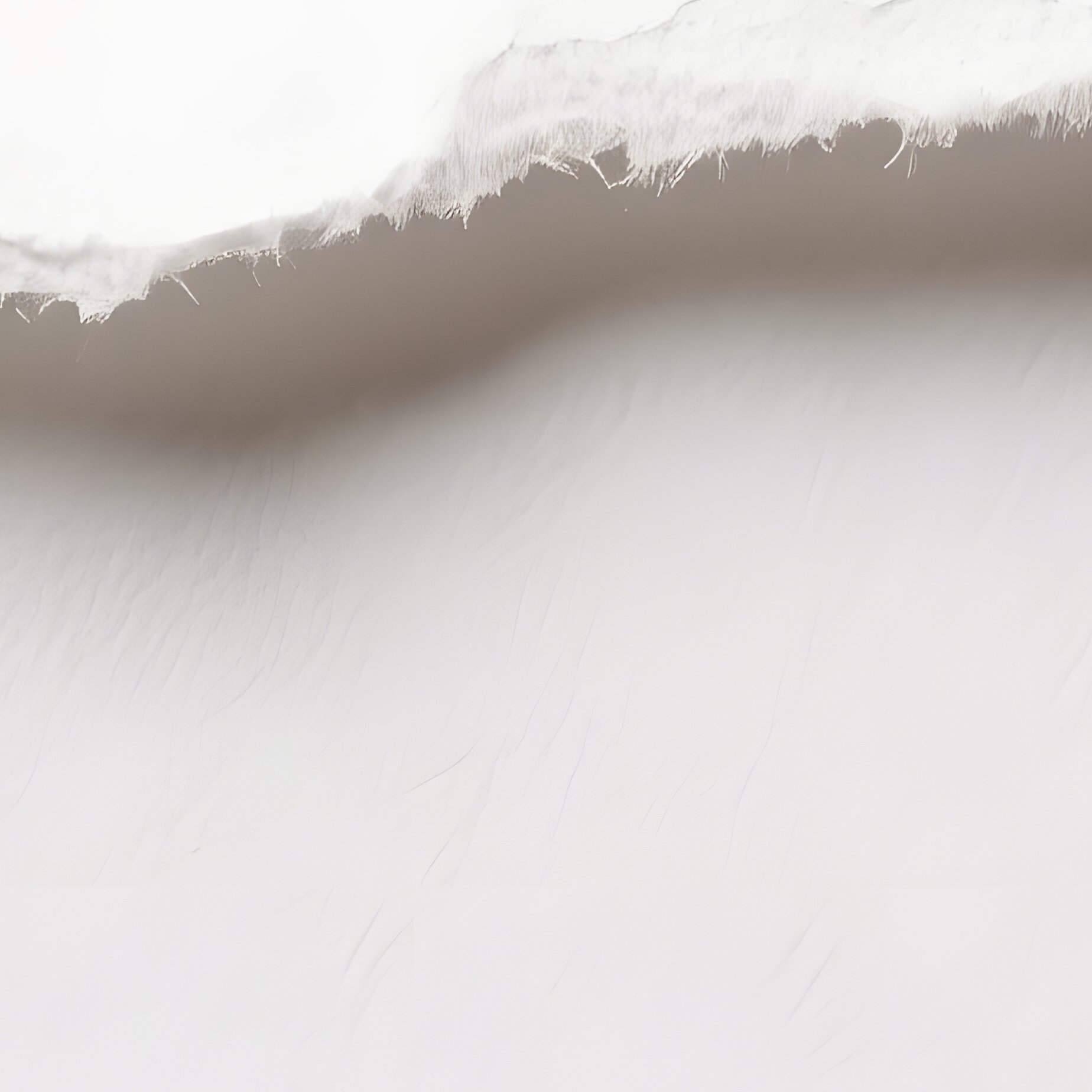 Torn Paper Edge Torn Paper White Background - Full Resolution Quality Preview