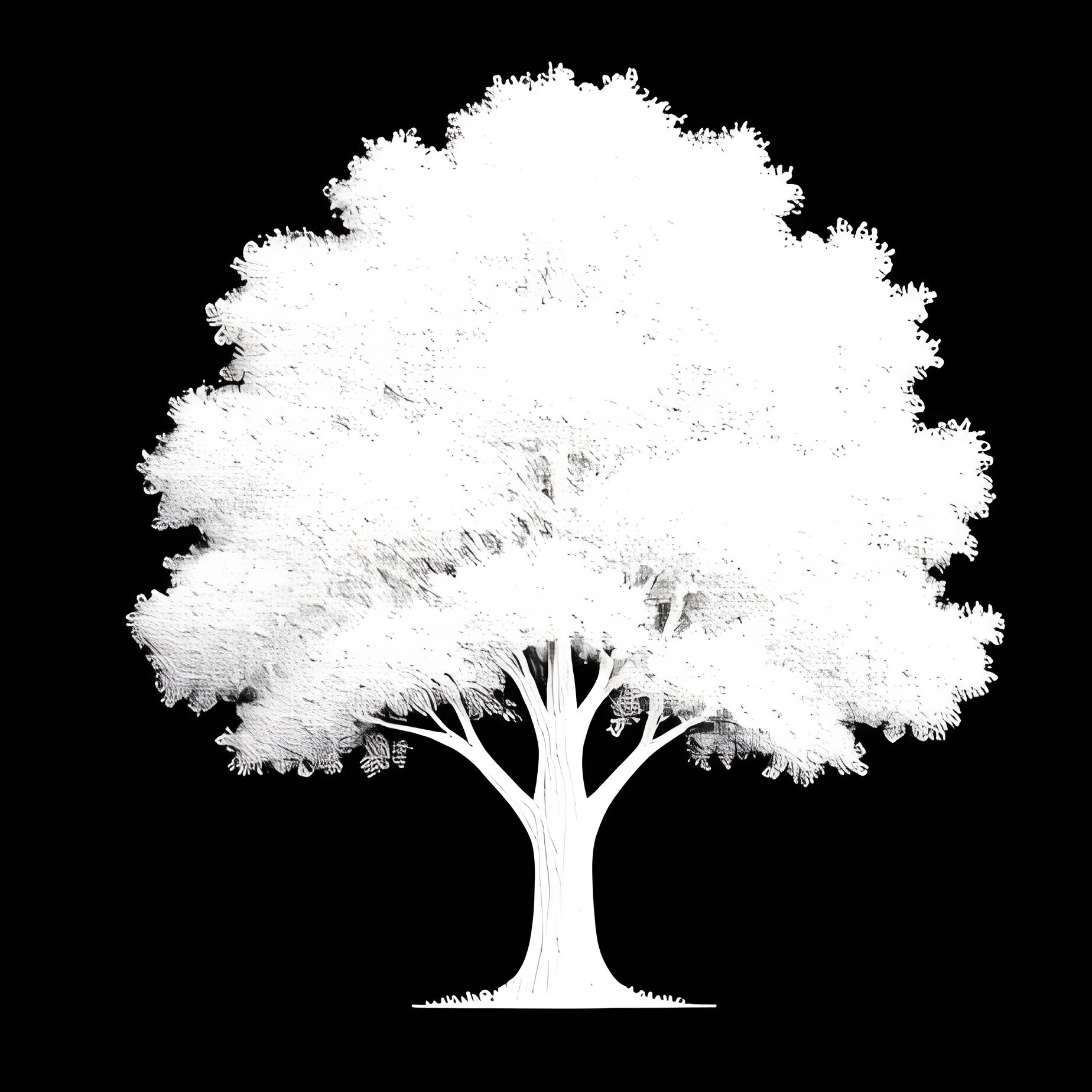 Tree Icons Trees Icons - Full Resolution Quality Preview