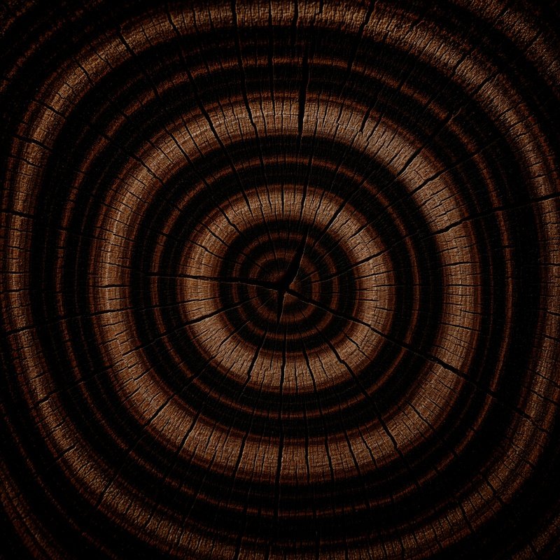 Tree Rings On A Cross Section Of A Tree Trunk Tree Rings Wooden