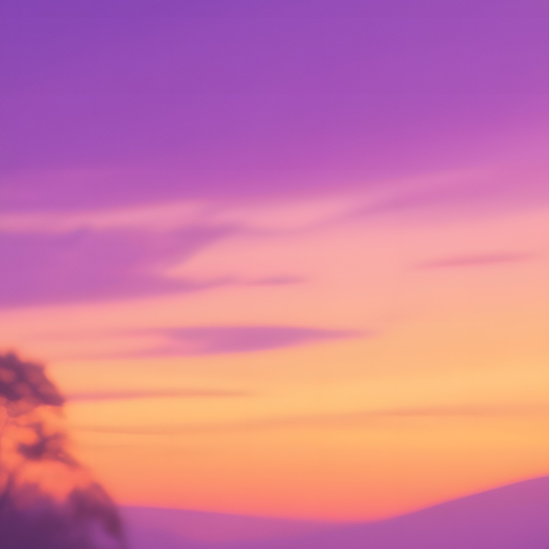 Twilight Fairy Village In Tree Trunks - Full Resolution Quality Preview