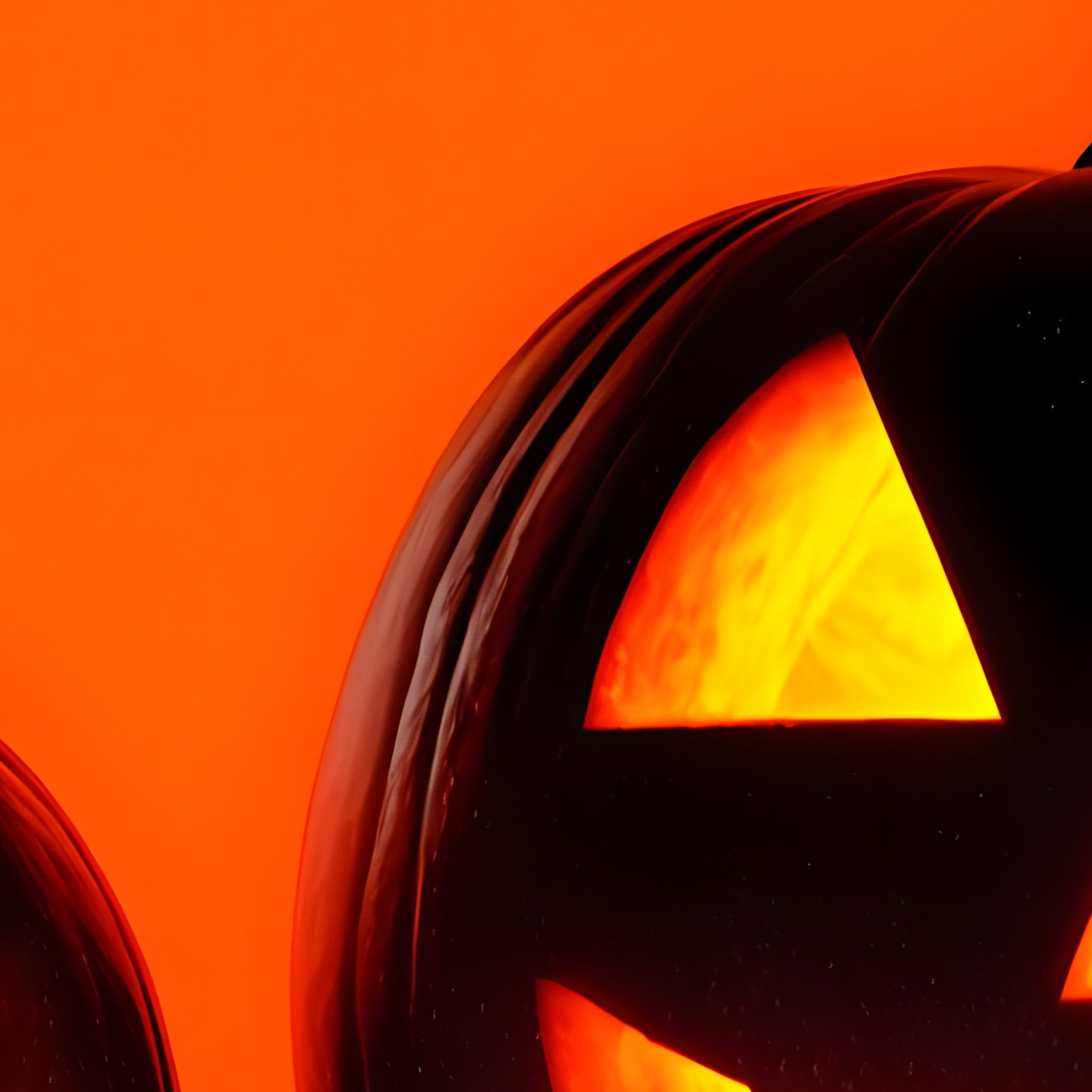 Two Carved Pumpkins Halloween Pumpkin - Full Resolution Quality Preview